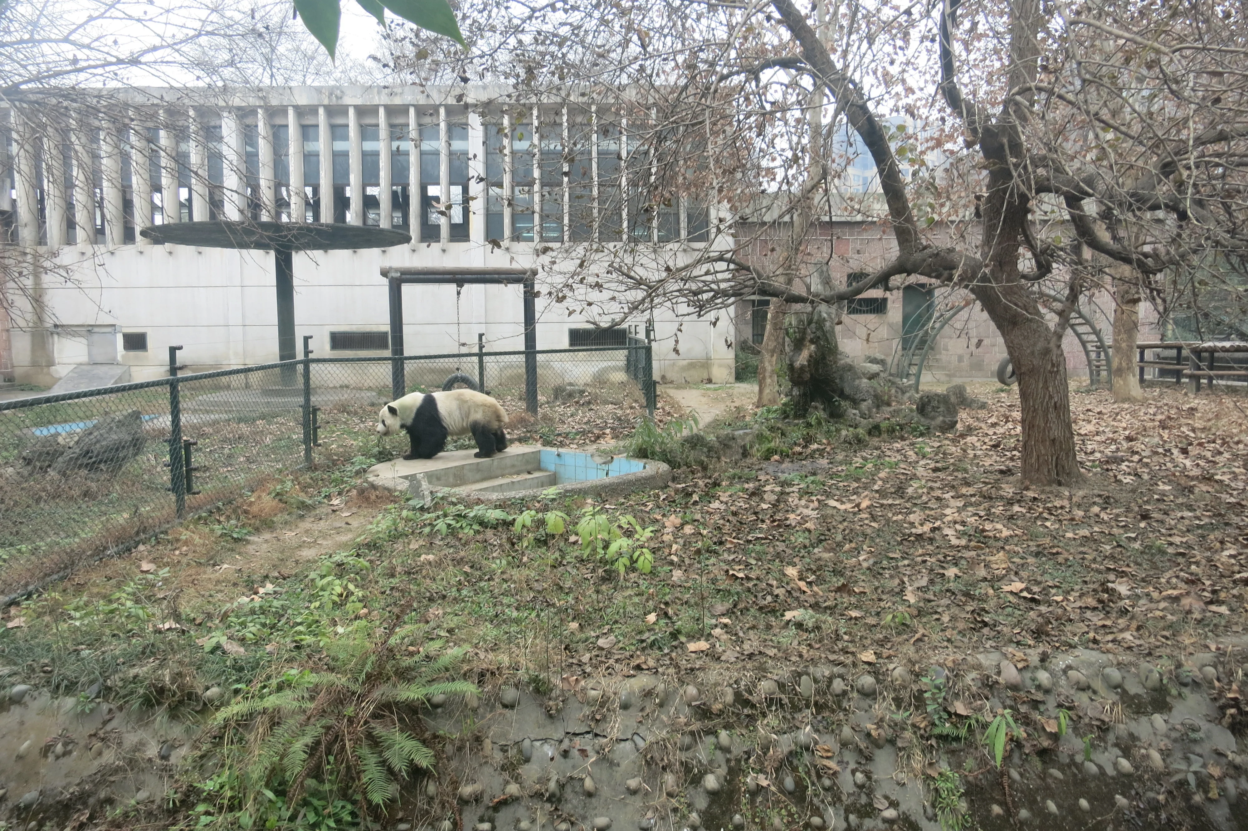 Chengdu Zoo