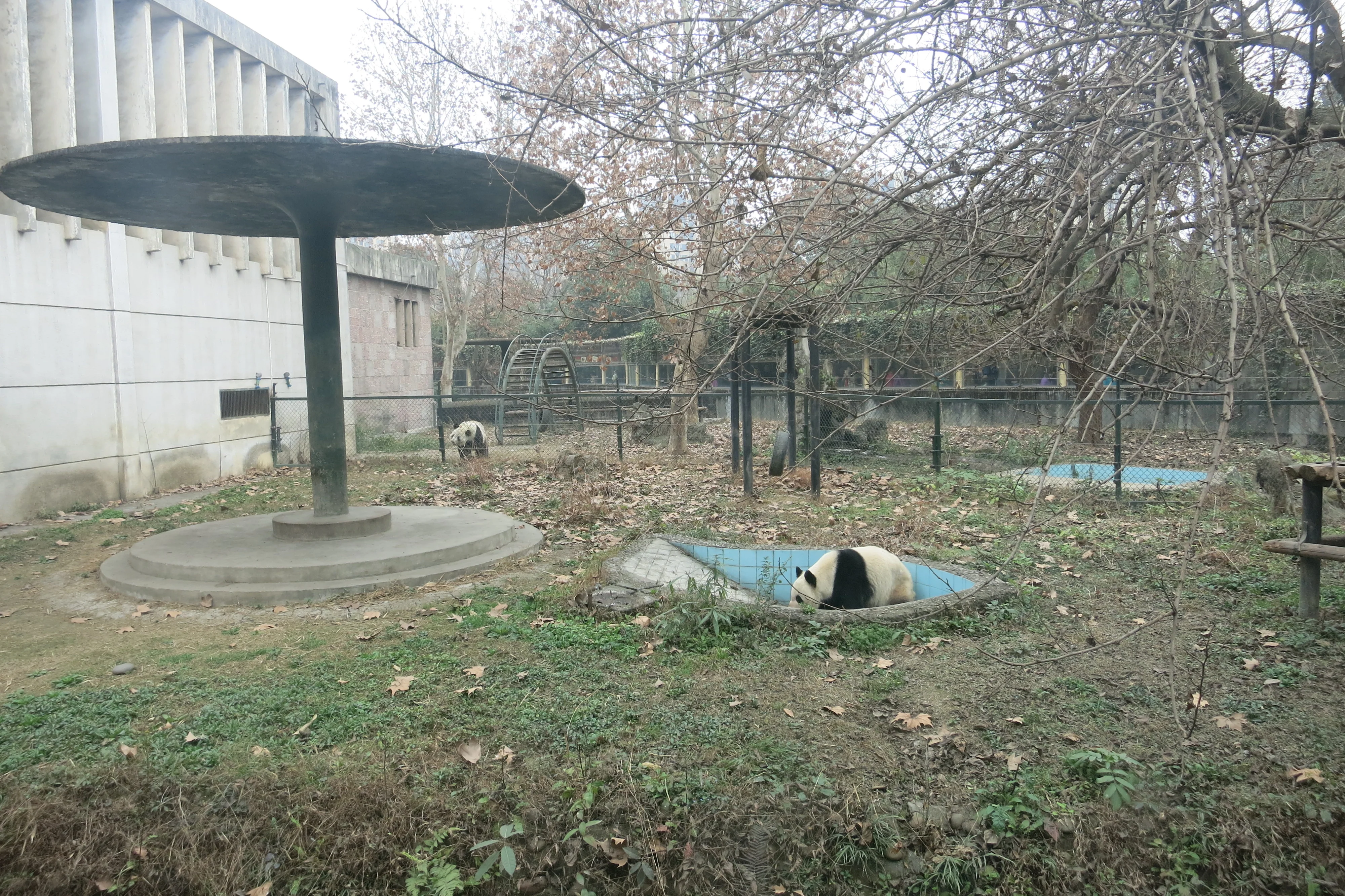 Chengdu Zoo