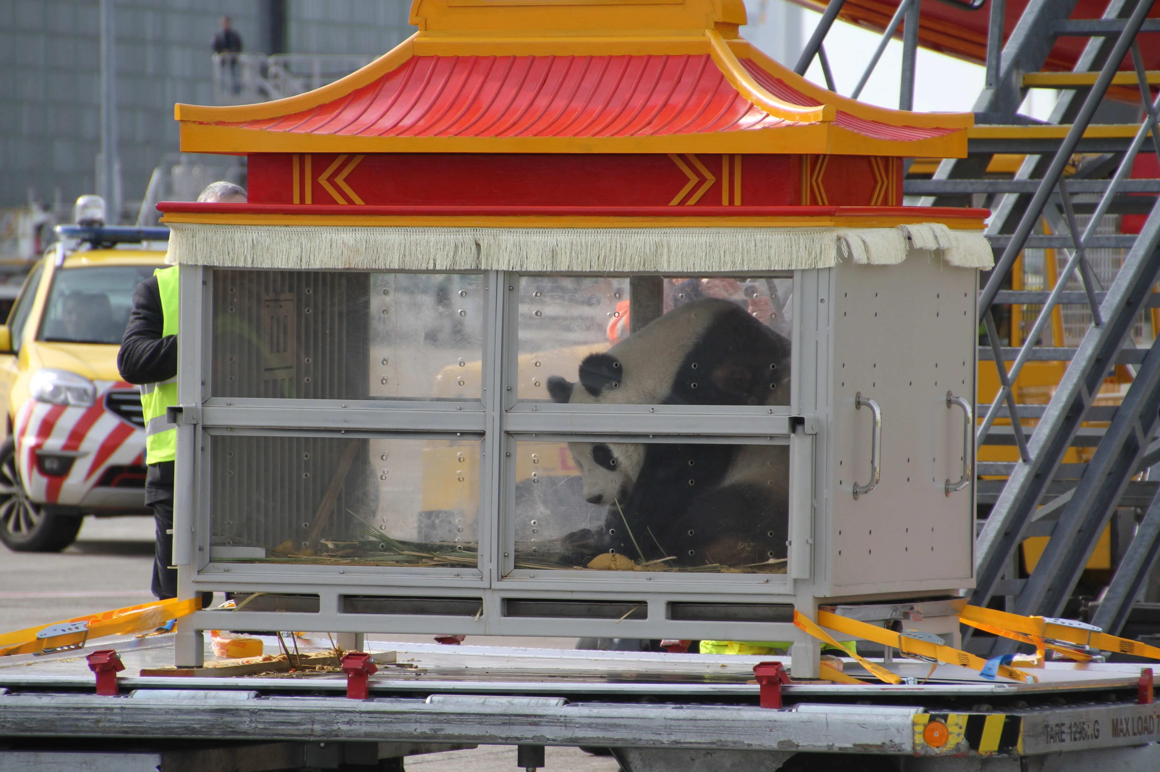 Bienvenue Welkom Hao Hao &amp; Xing Hui