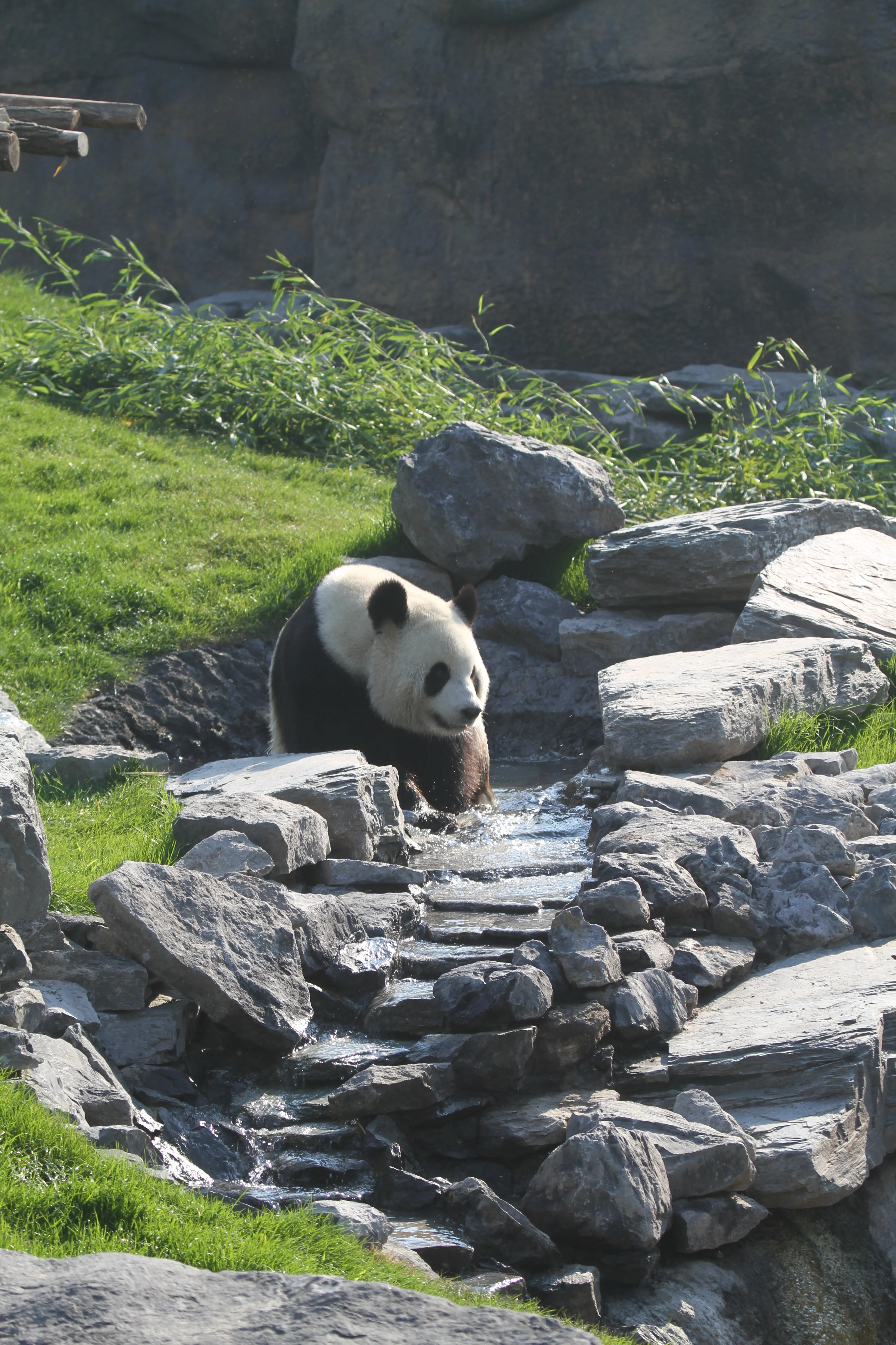 Pairi Daiza