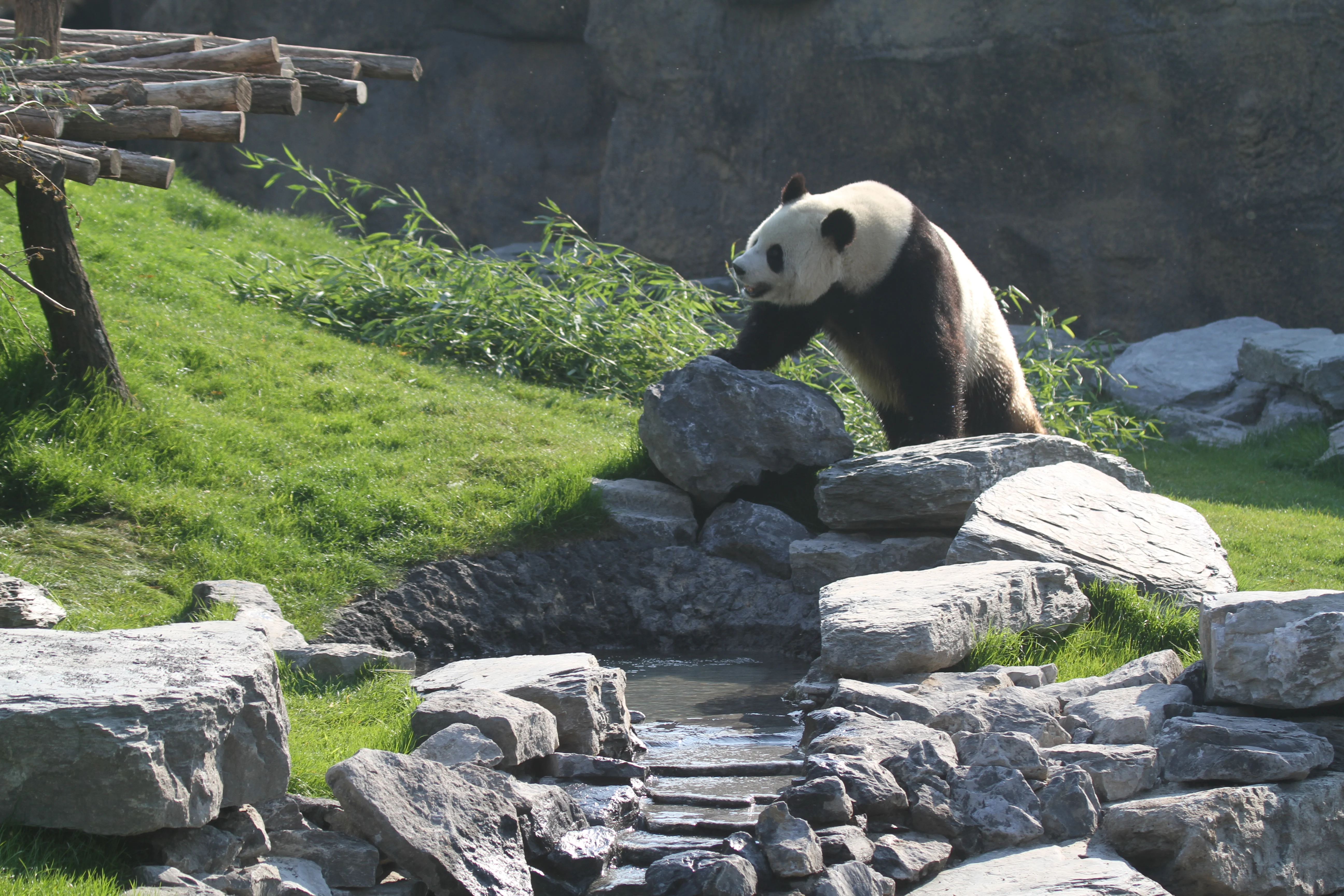 Pairi Daiza