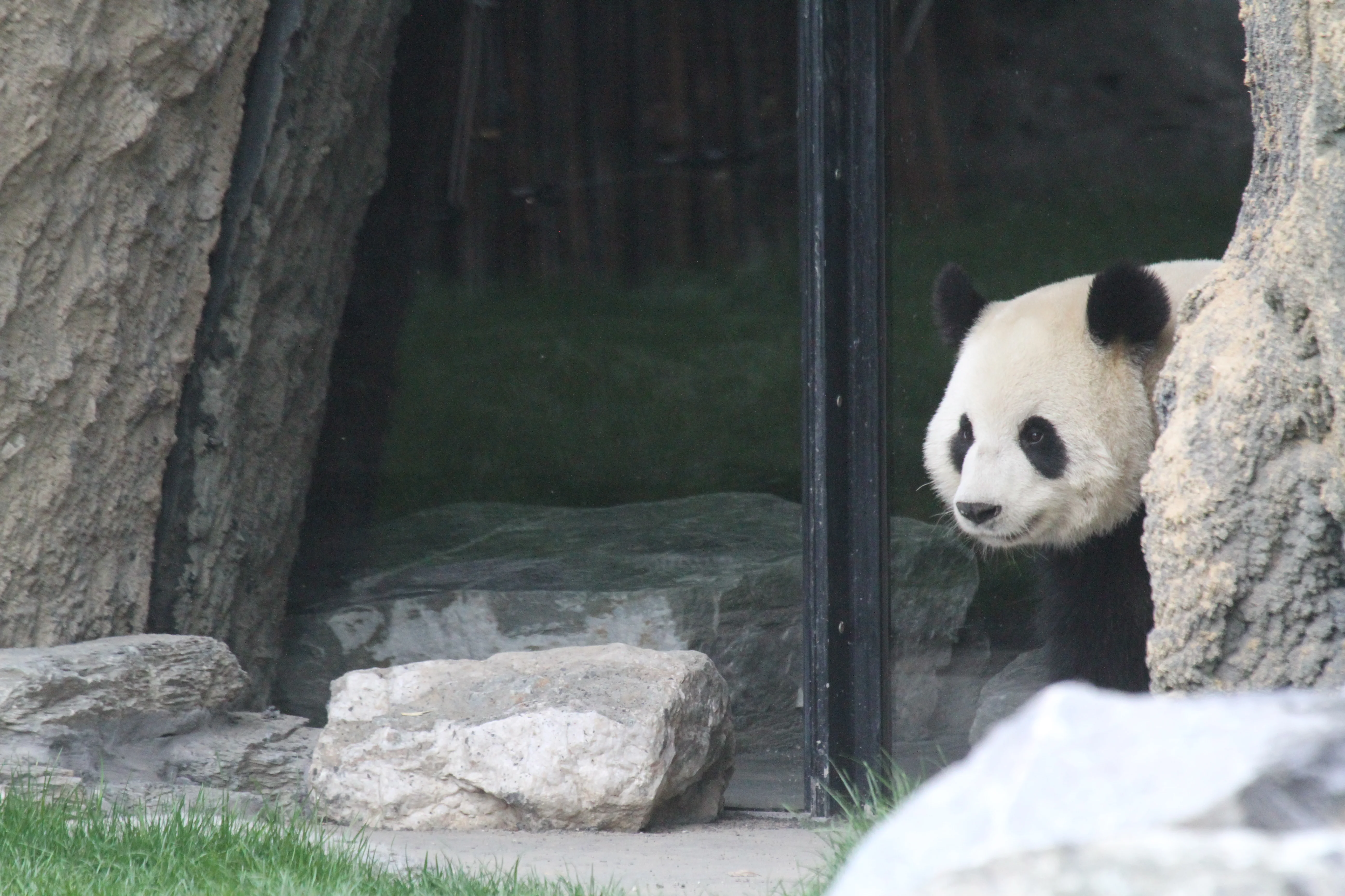 Pairi Daiza