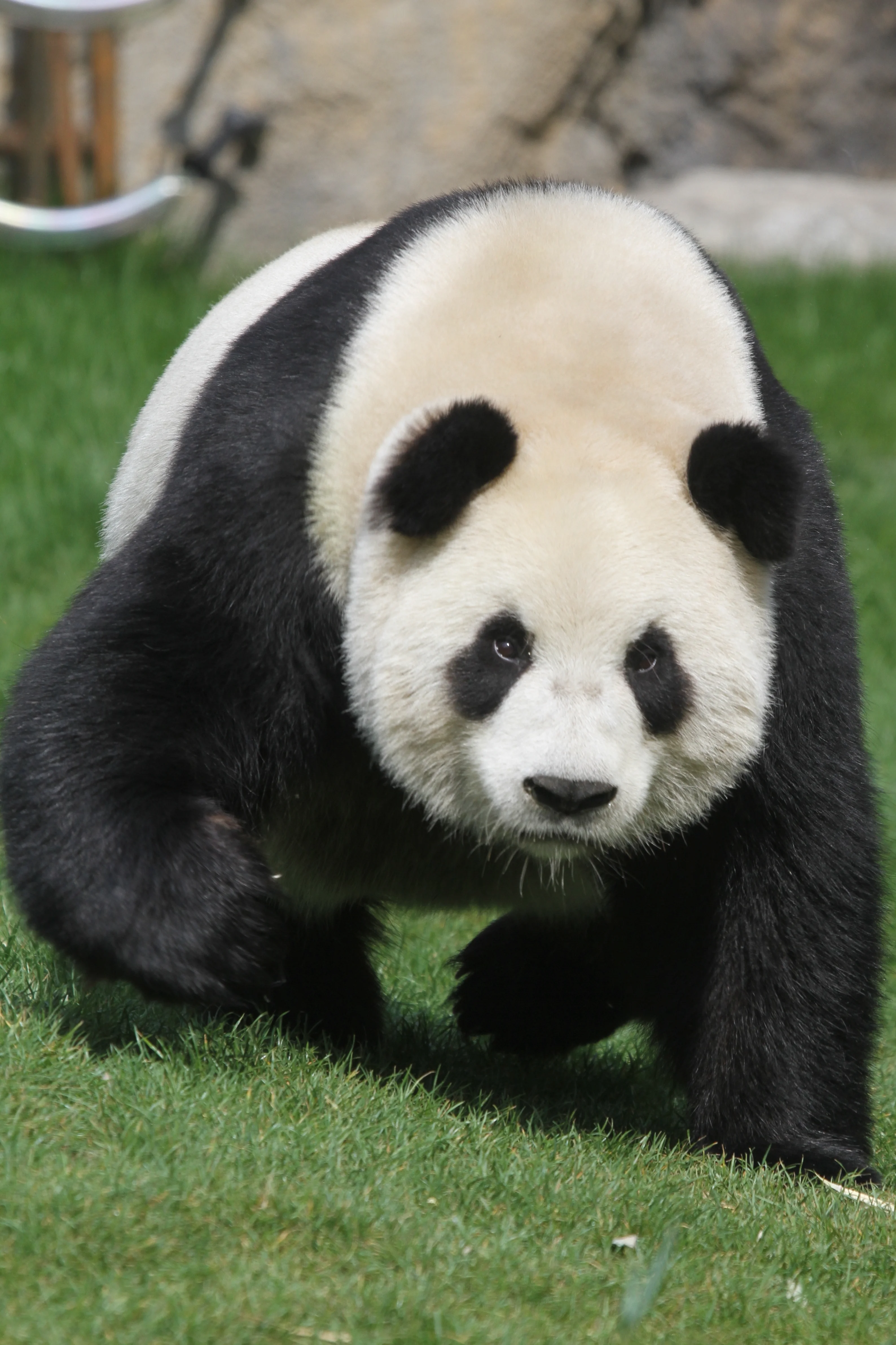 Pairi Daiza
