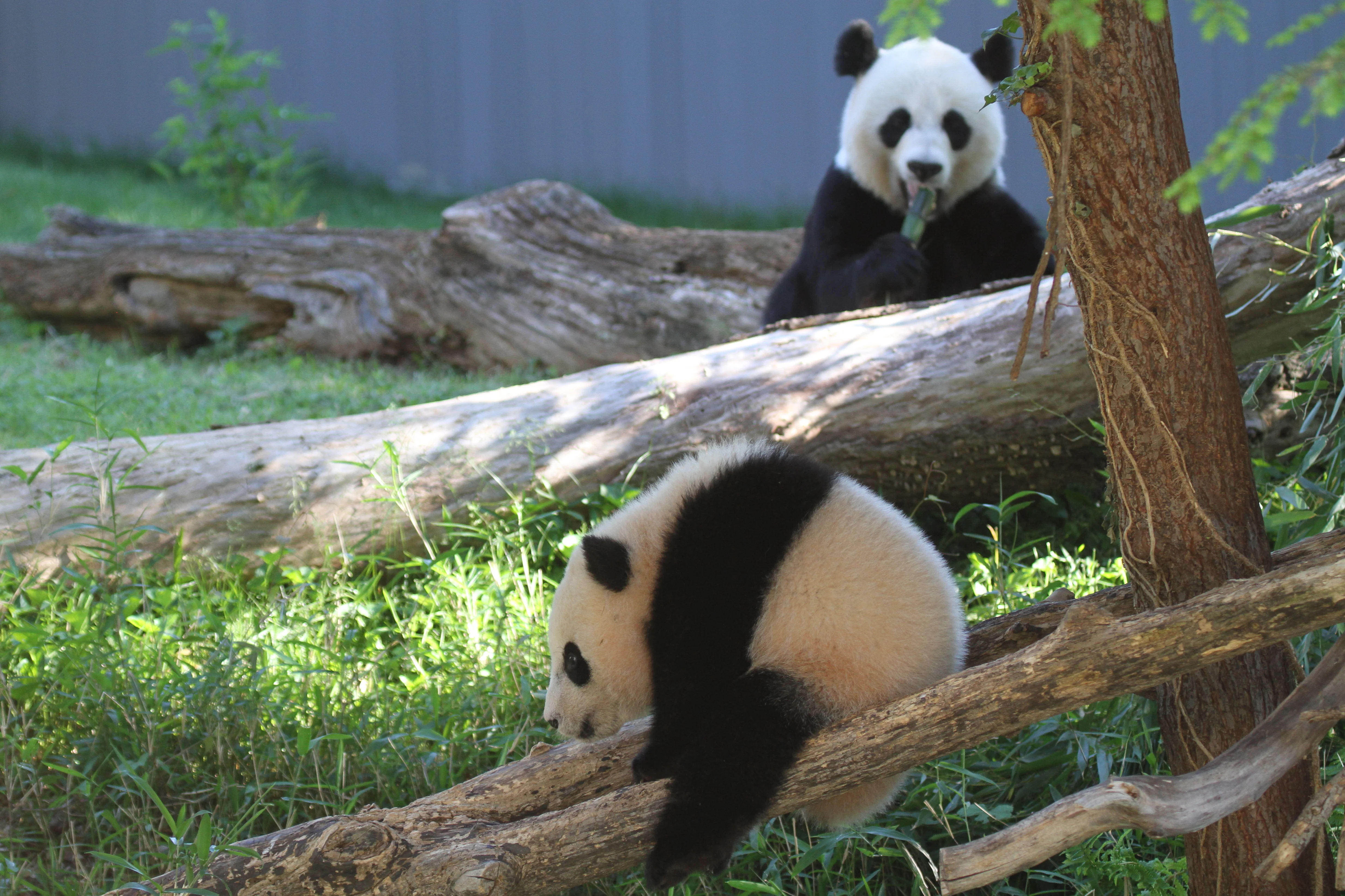 Smithsonian's National Zoo