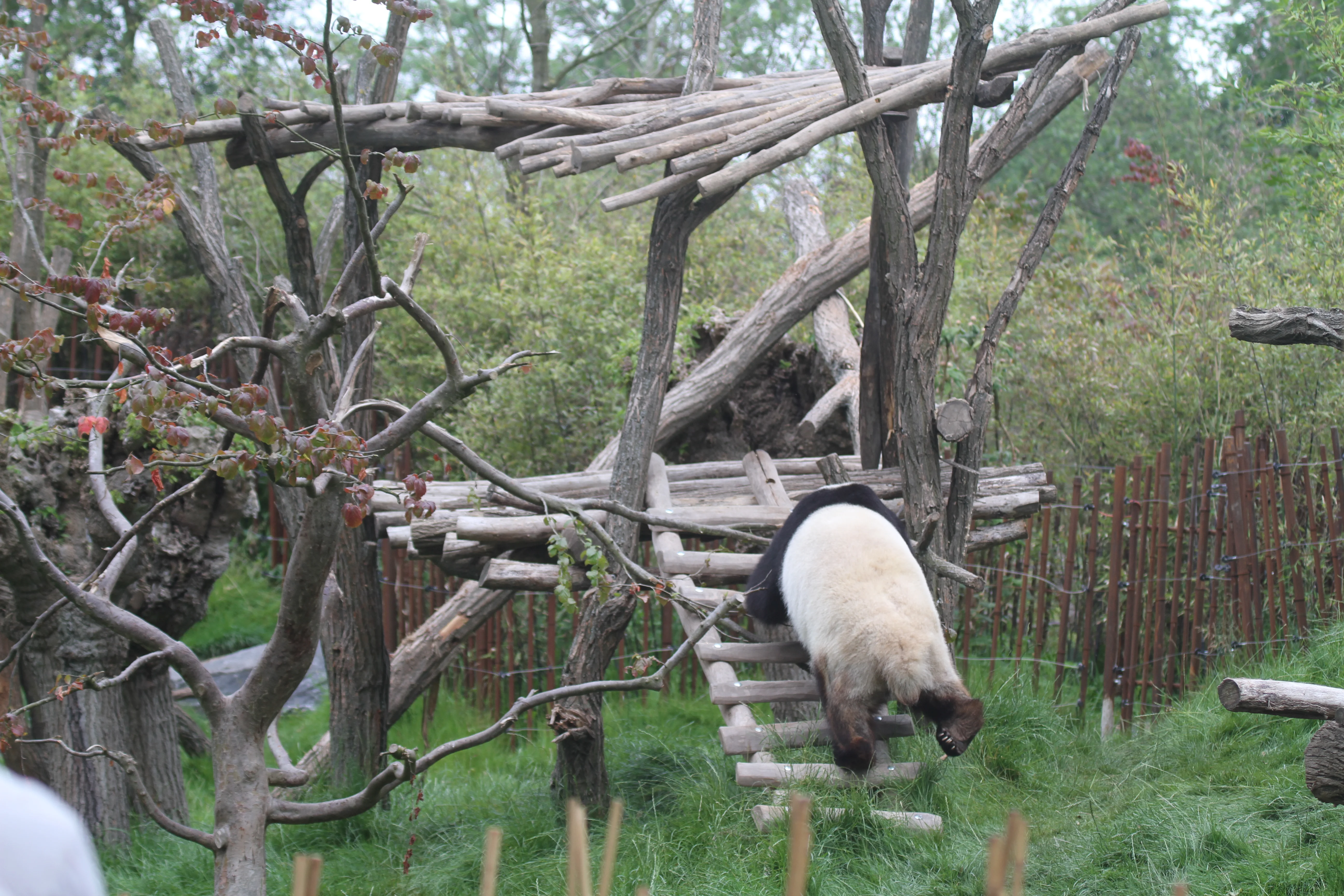 Pairi Daiza