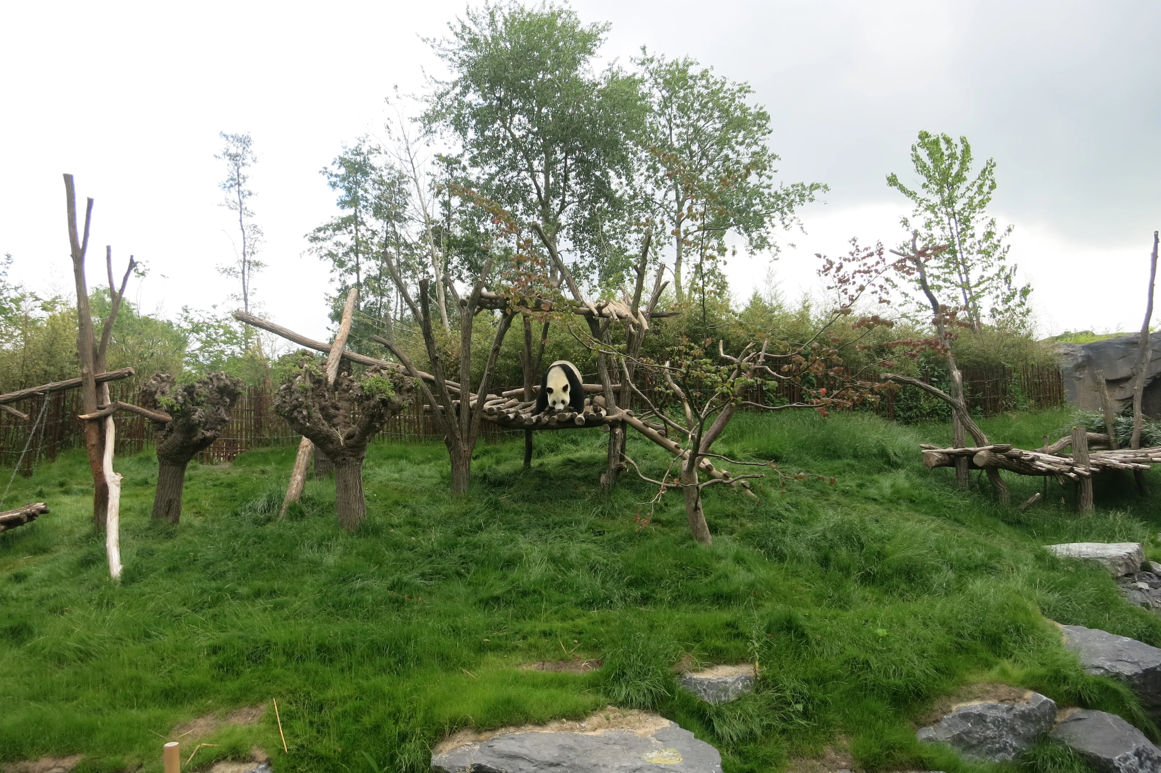 Pairi Daiza