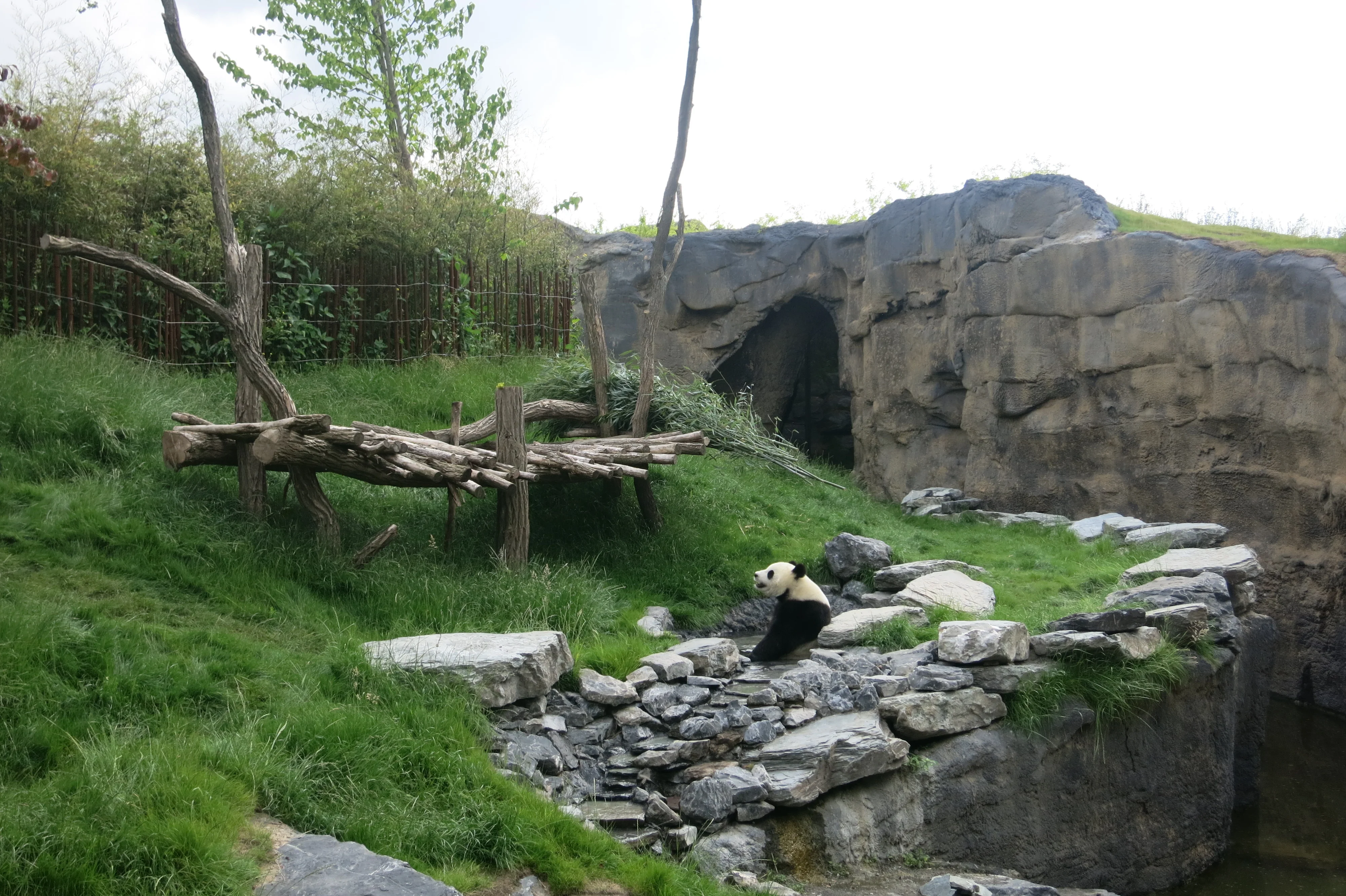 Pairi Daiza
