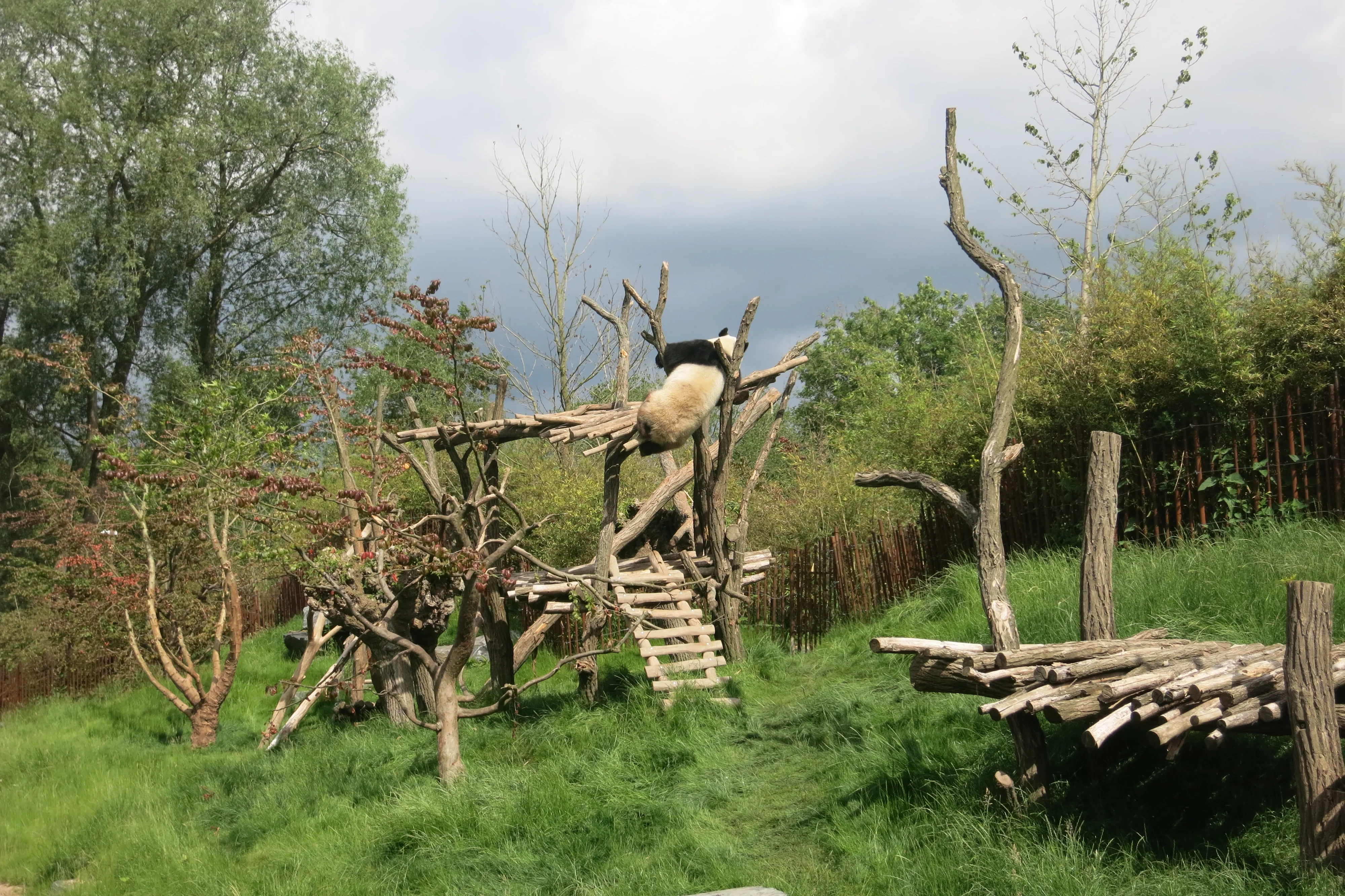 Pairi Daiza