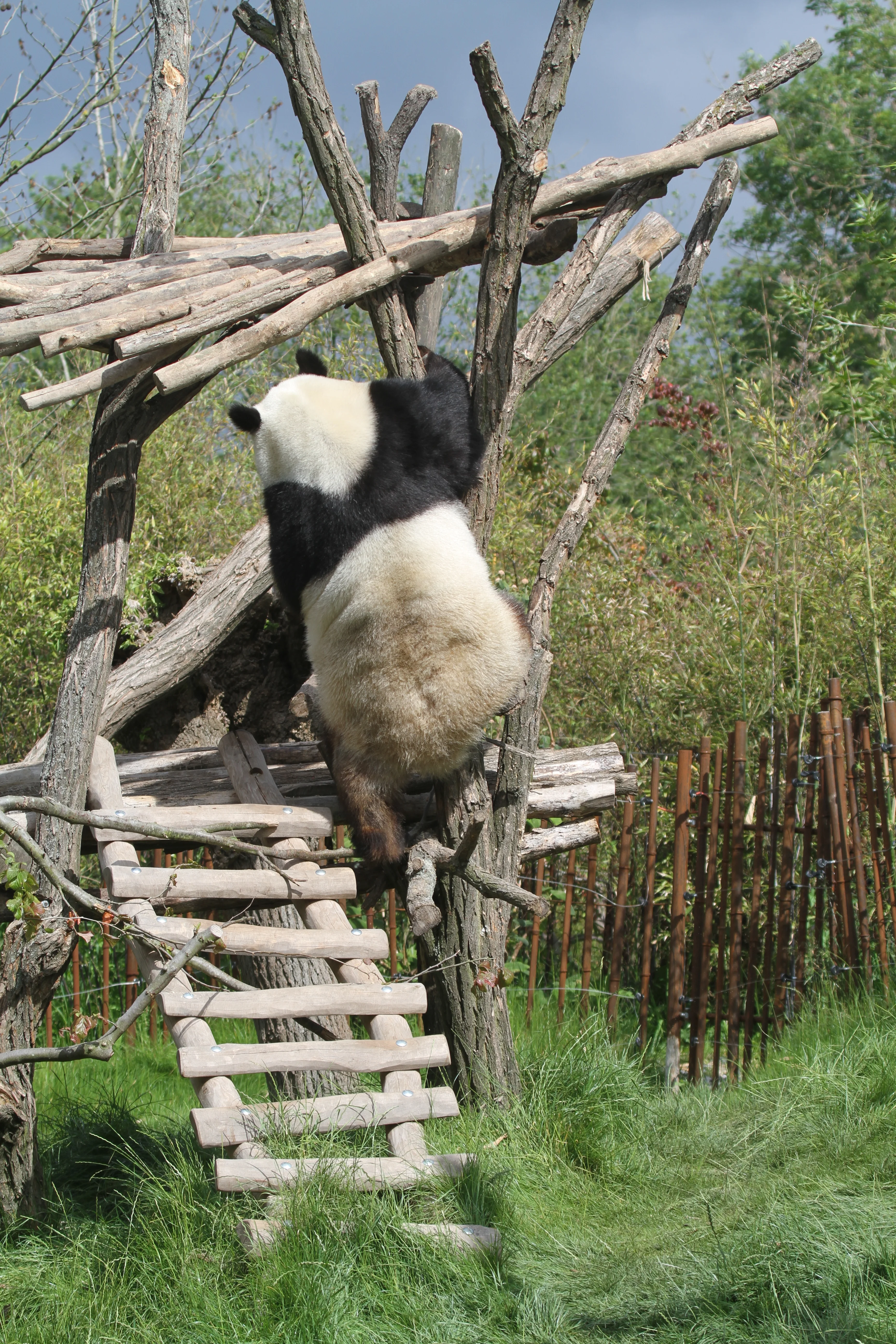 Pairi Daiza