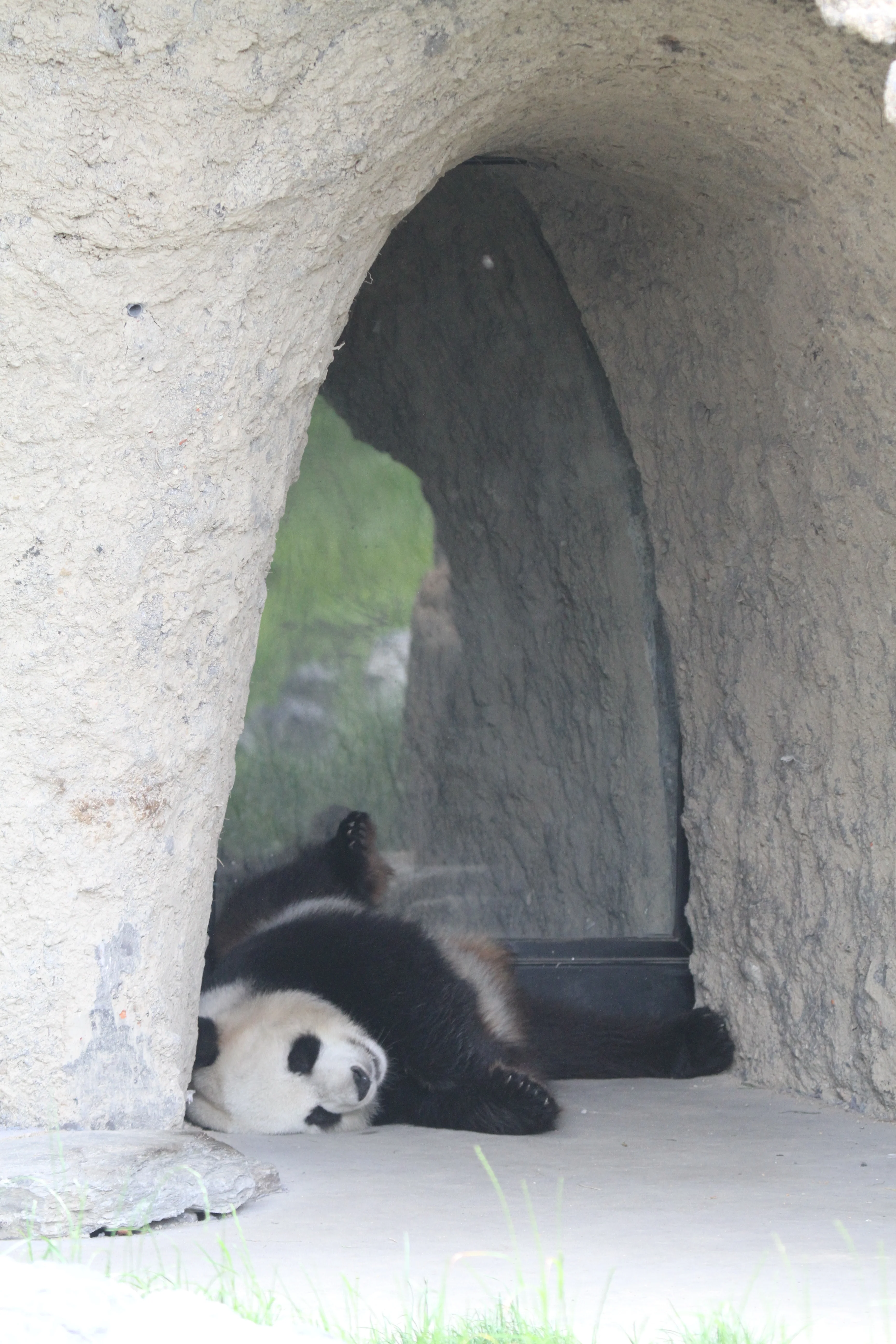 Pairi Daiza