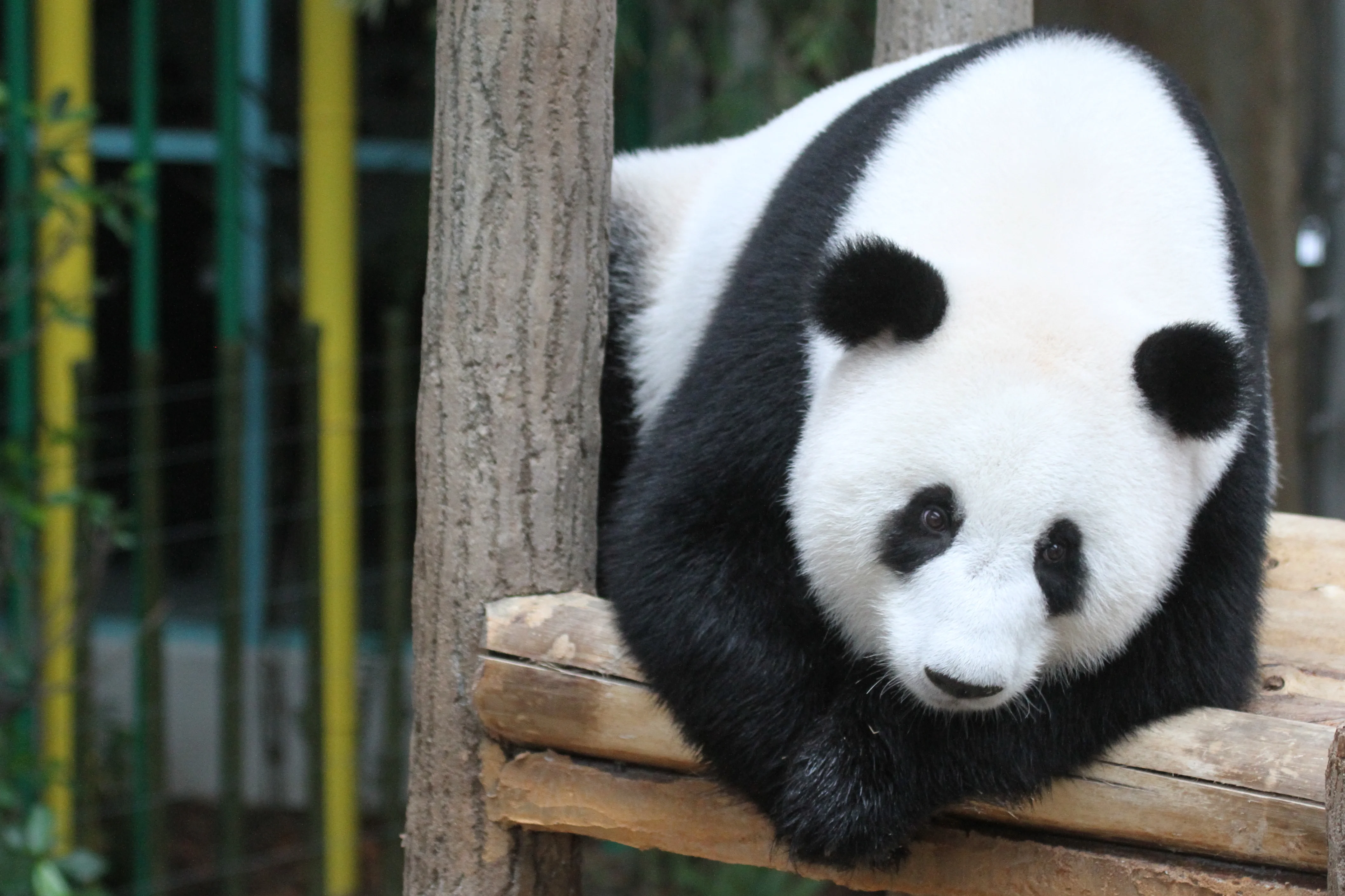 Zoo Negara Malaysia
