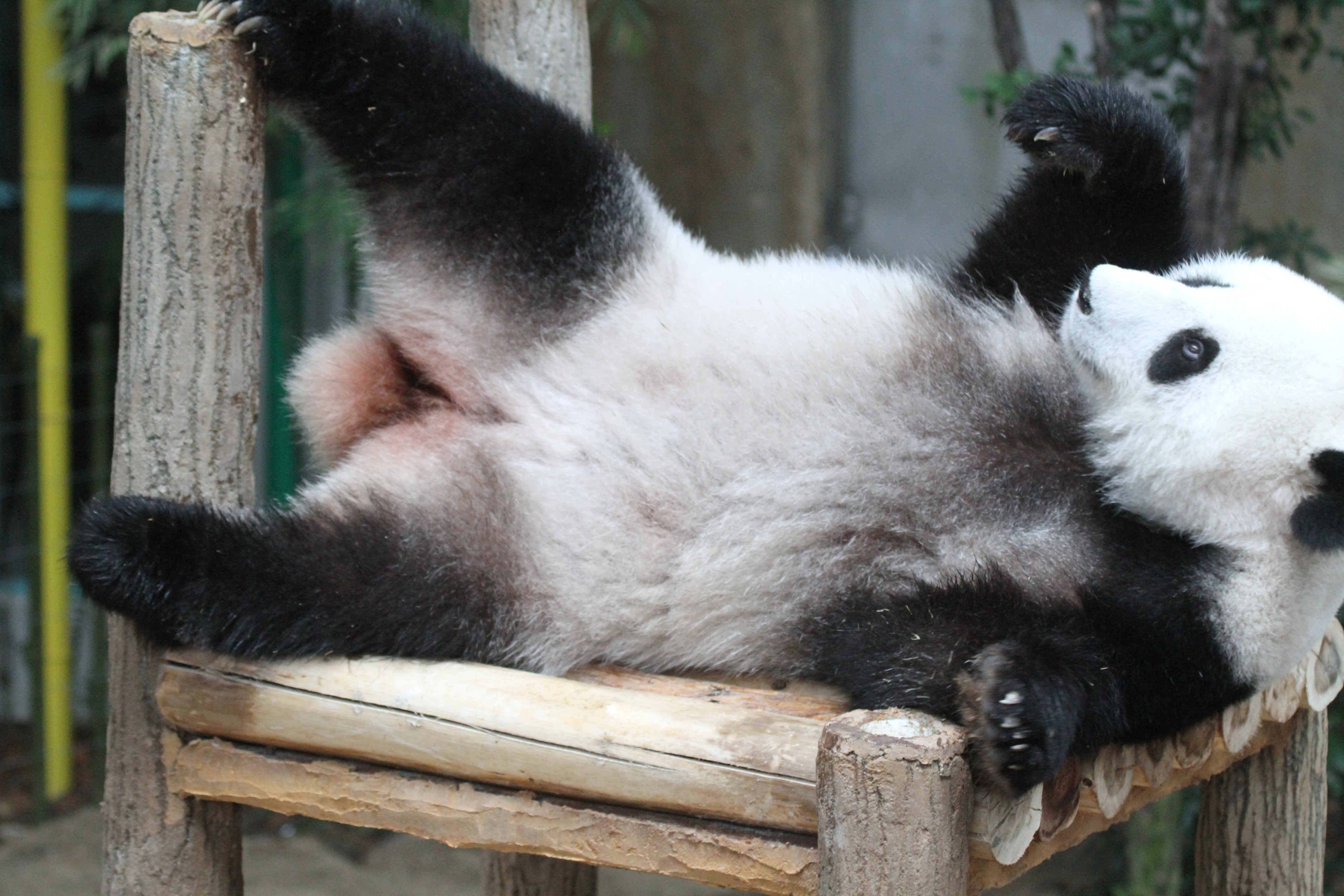 Zoo Negara Malaysia
