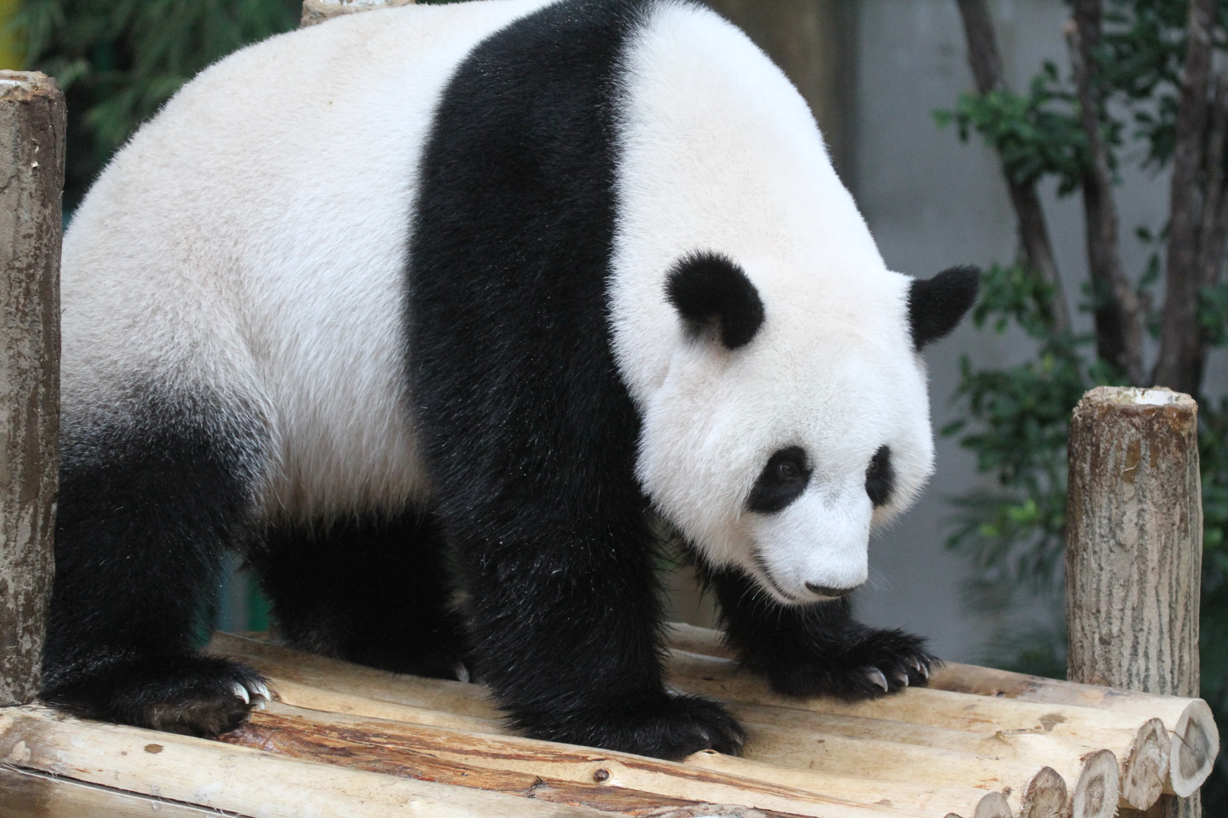 Zoo Negara Malaysia