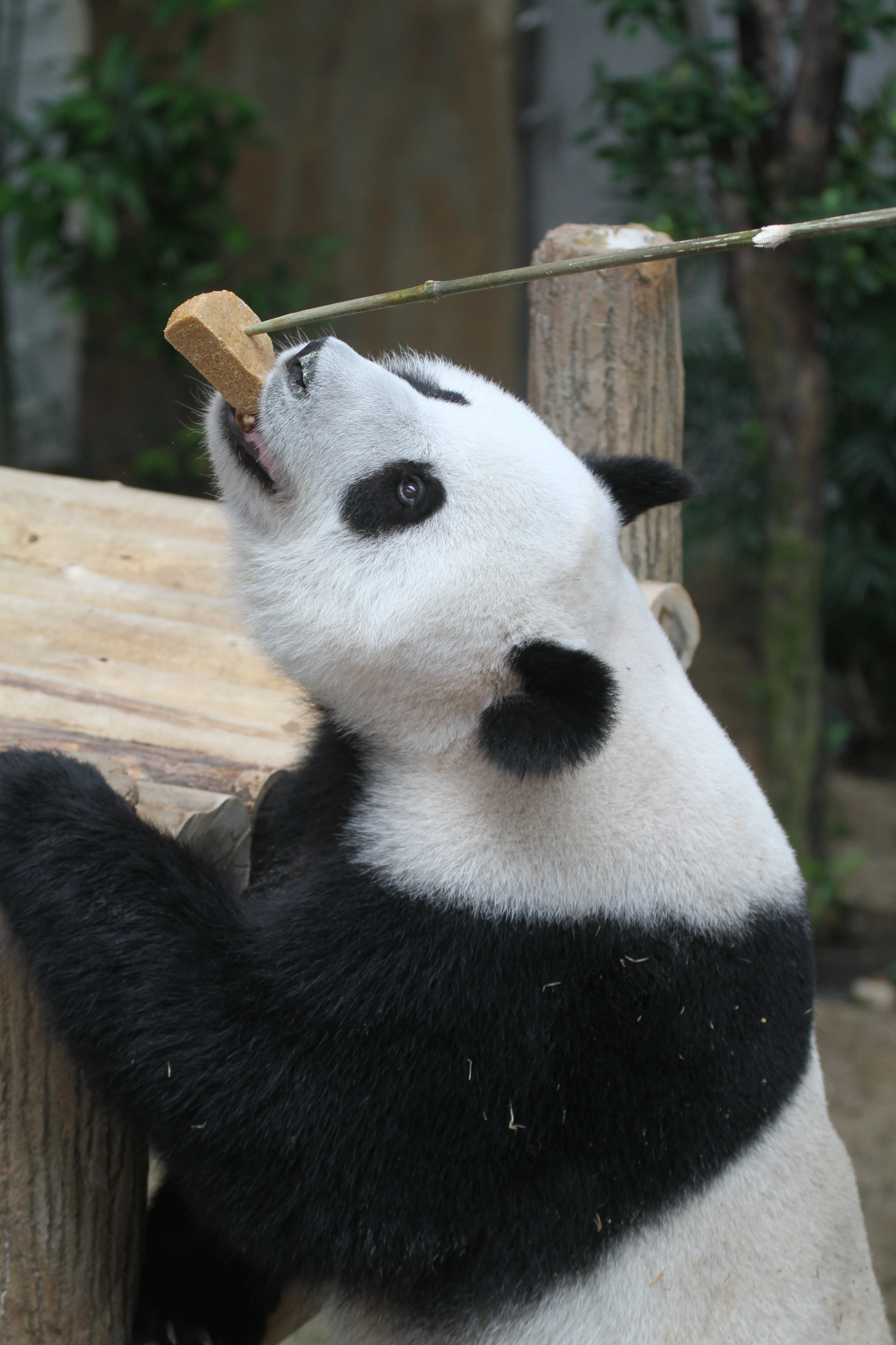 Zoo Negara Malaysia
