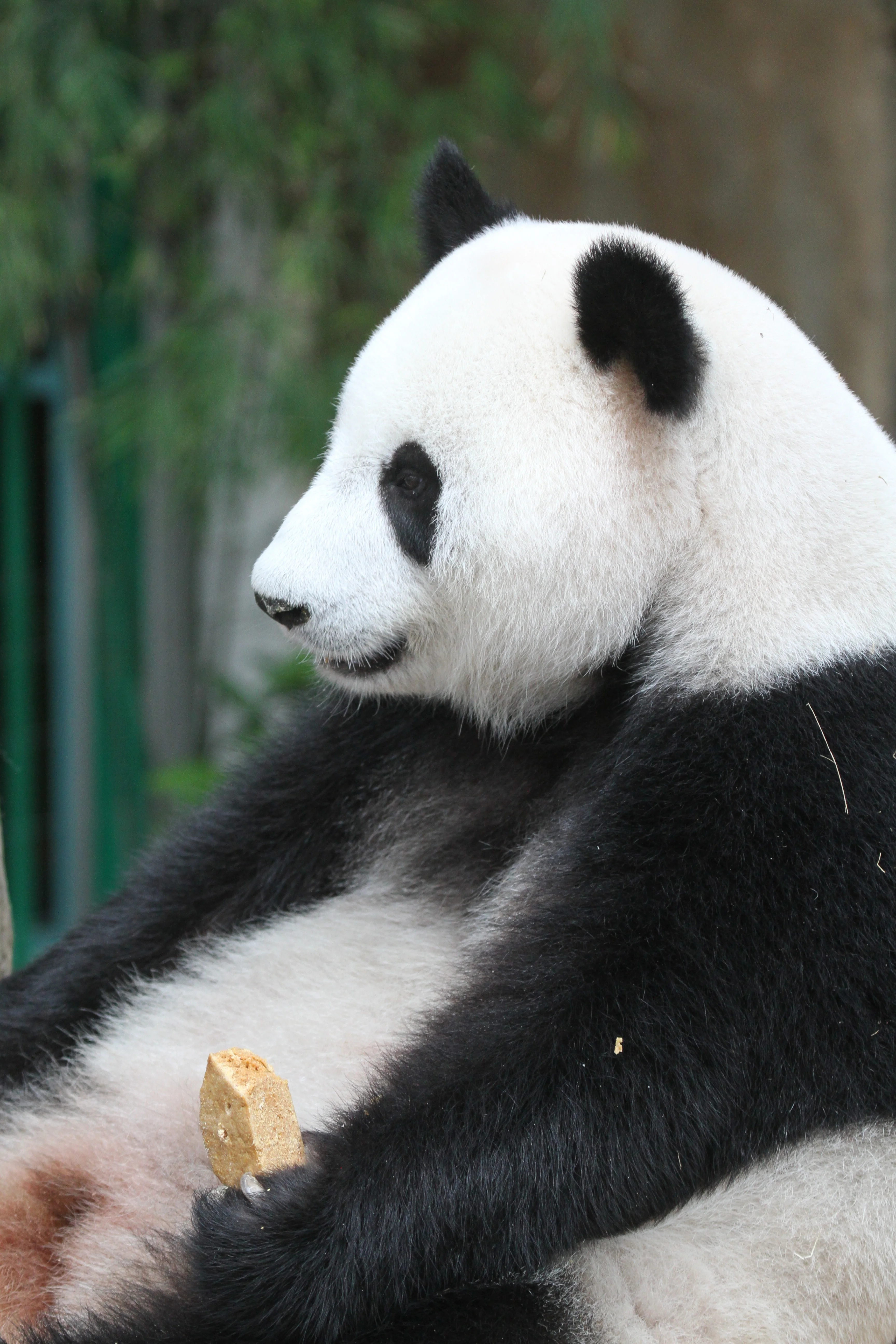 Zoo Negara Malaysia