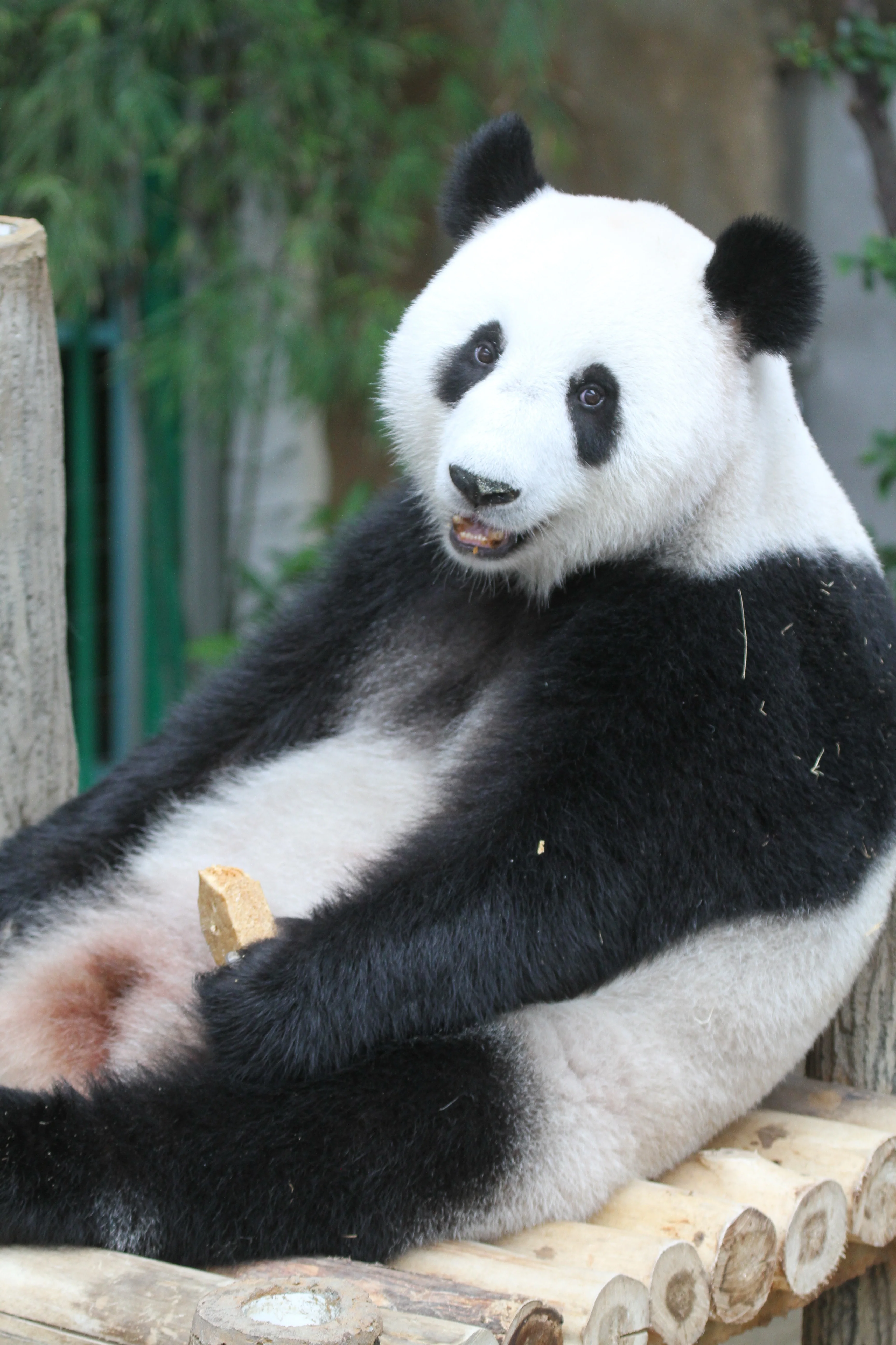 Zoo Negara Malaysia