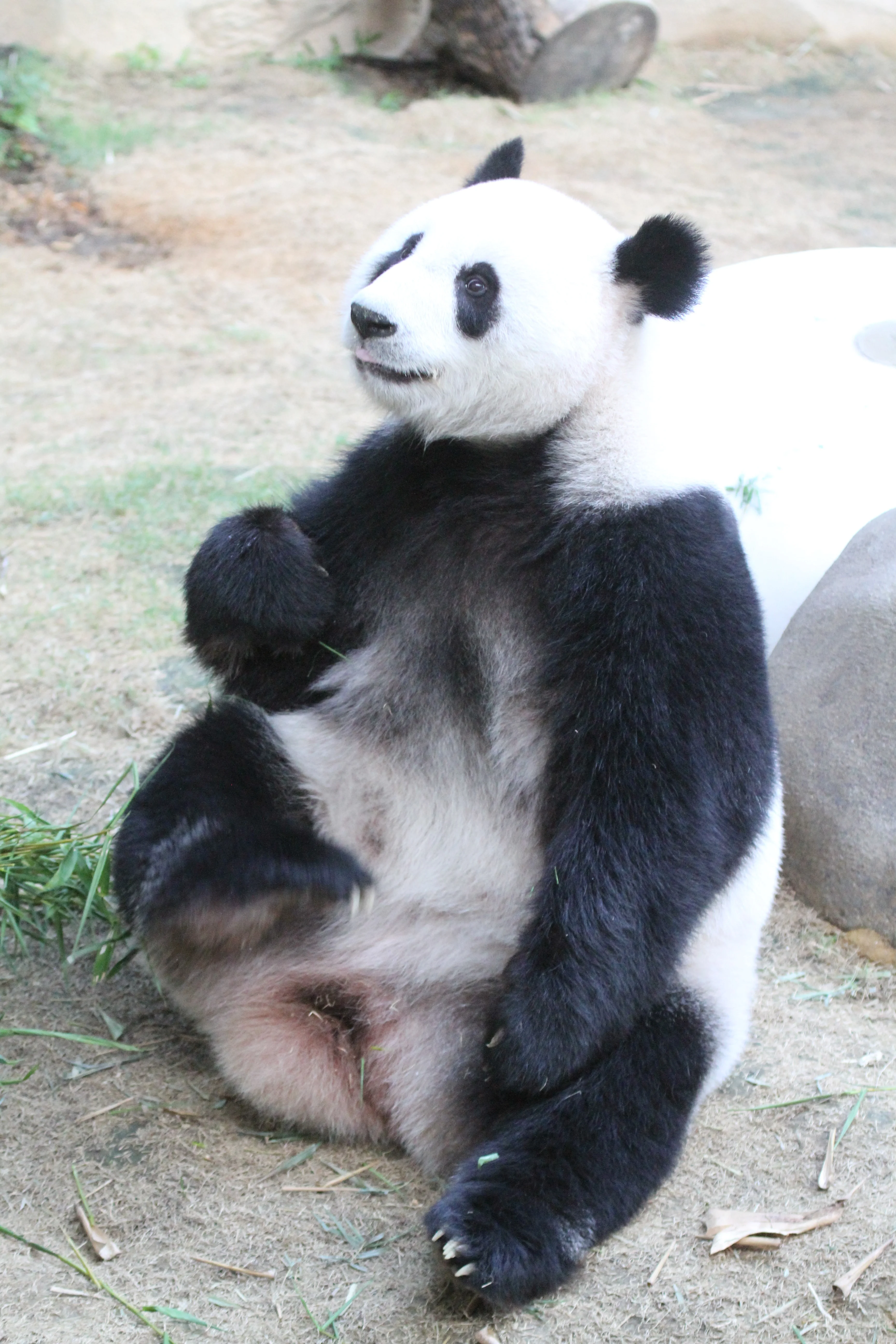 Zoo Negara Malaysia