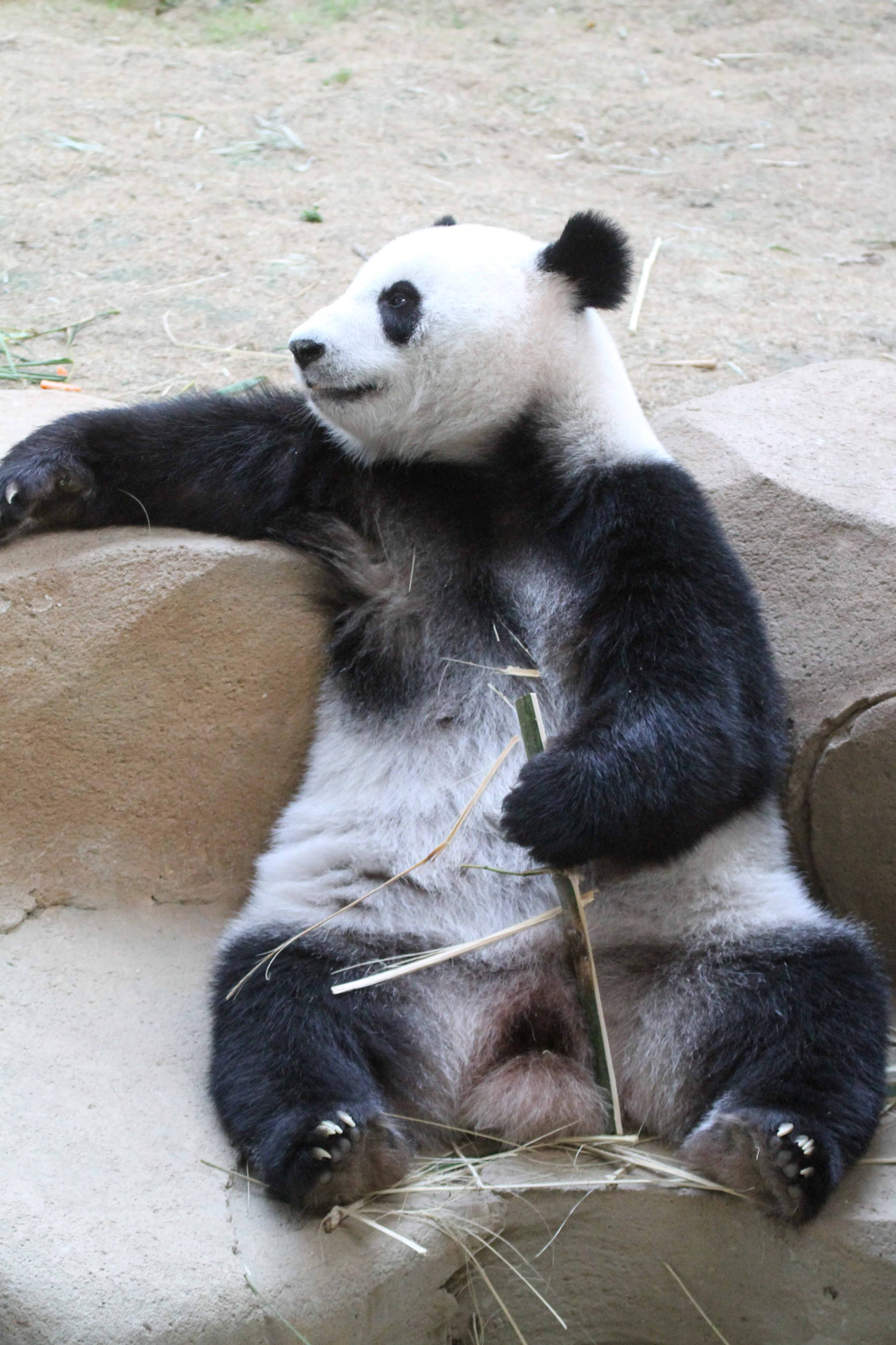Zoo Negara Malaysia