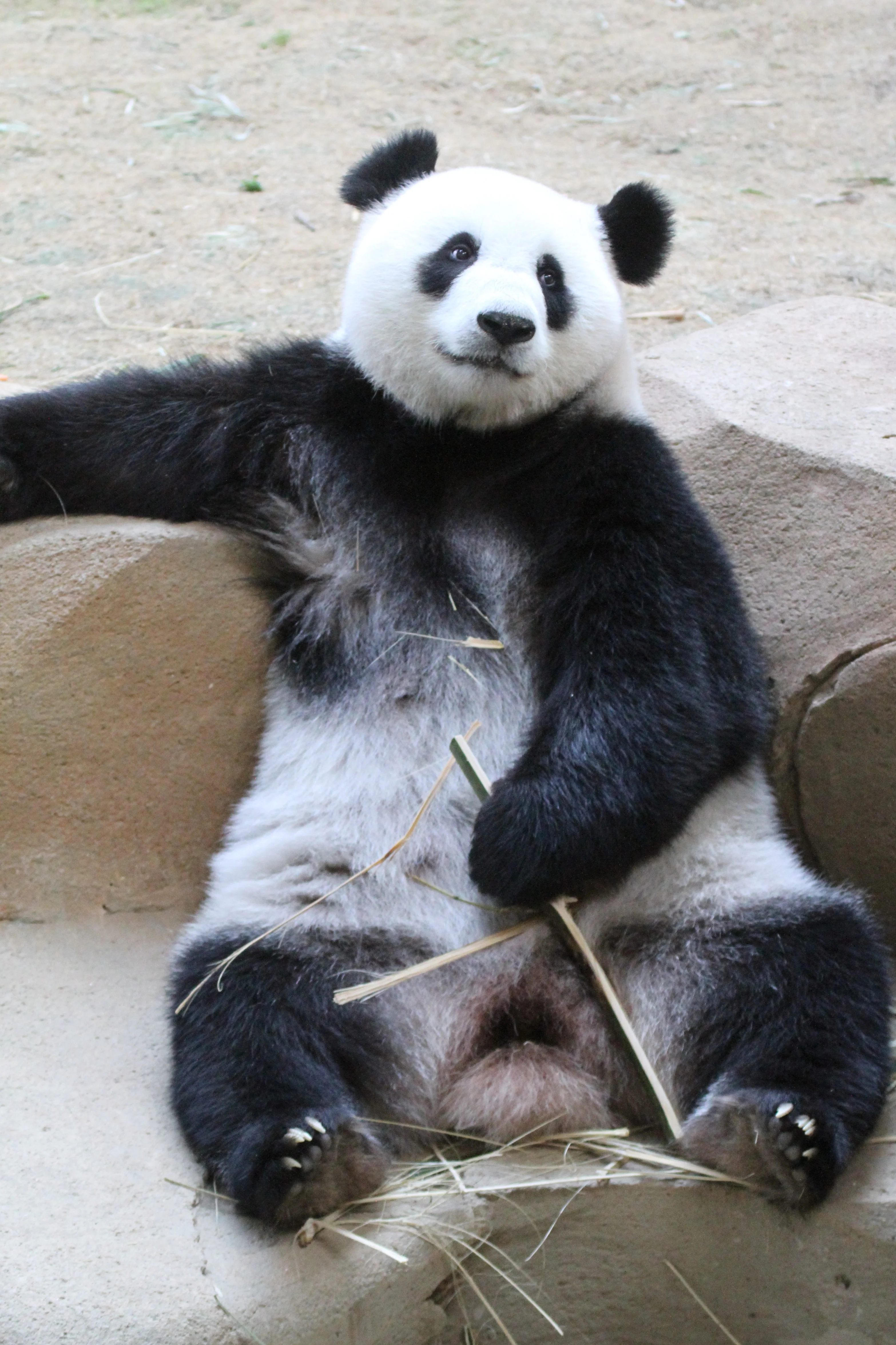 Zoo Negara Malaysia