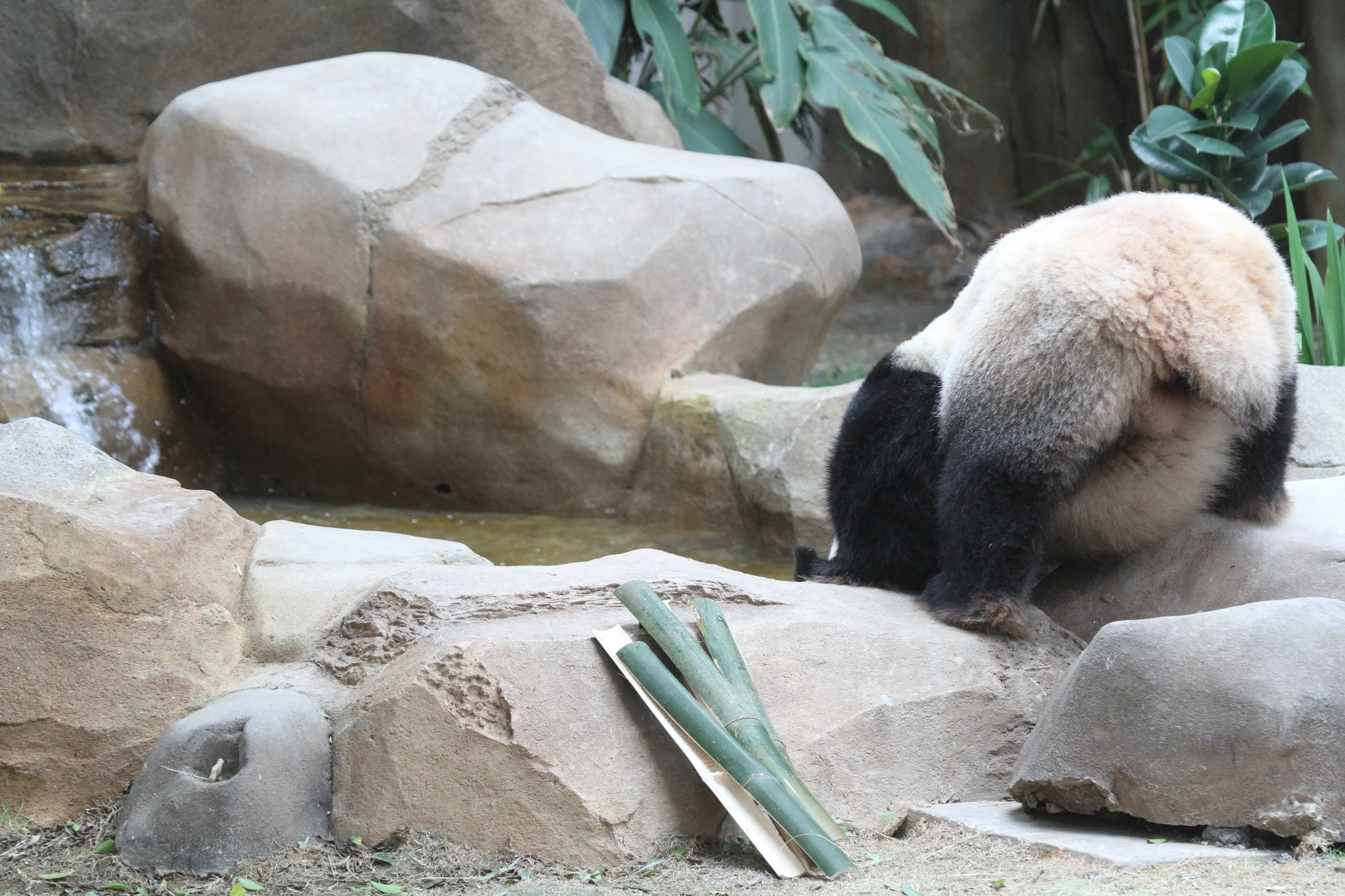 Zoo Negara Malaysia