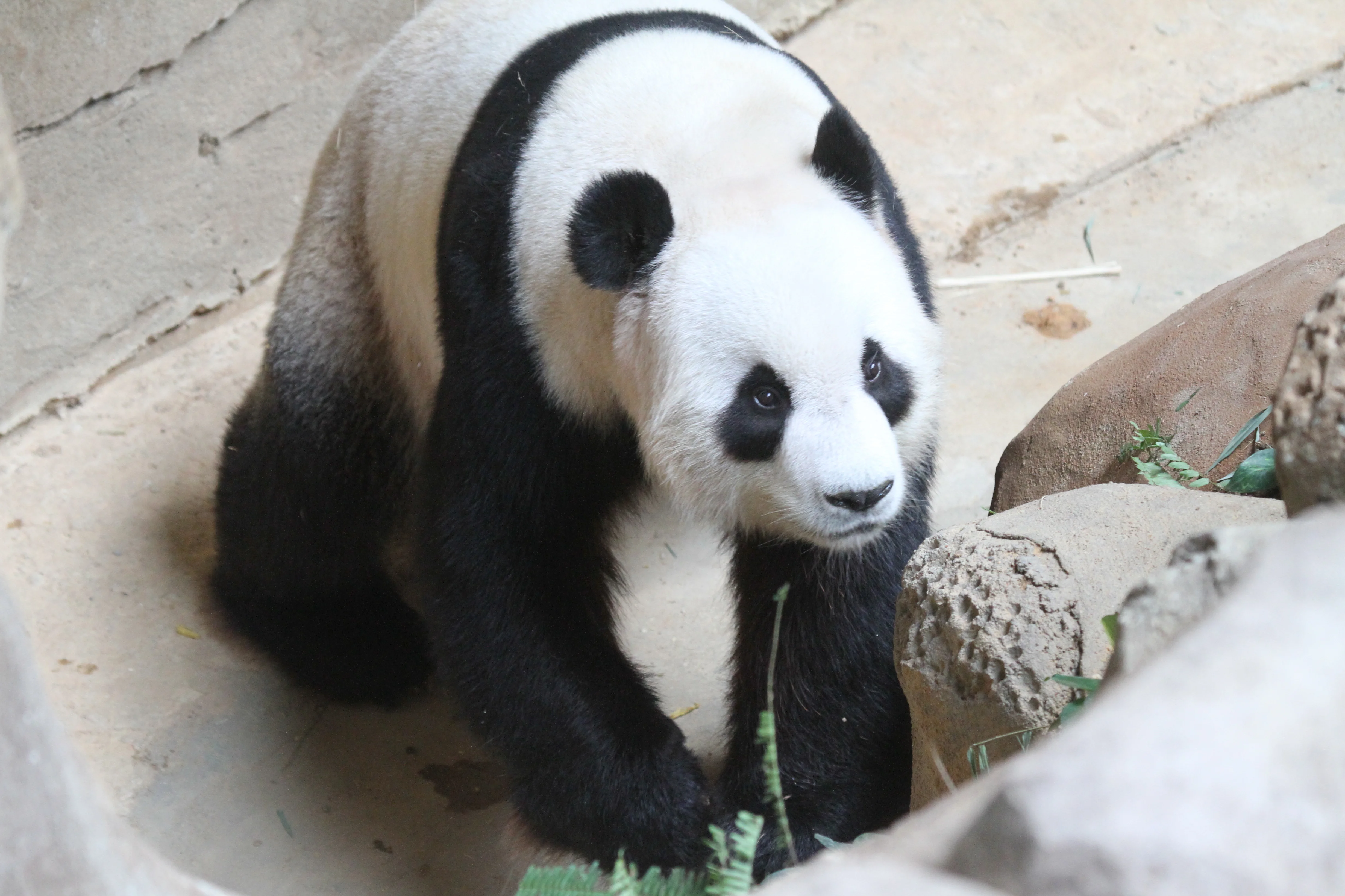 Zoo Negara Malaysia