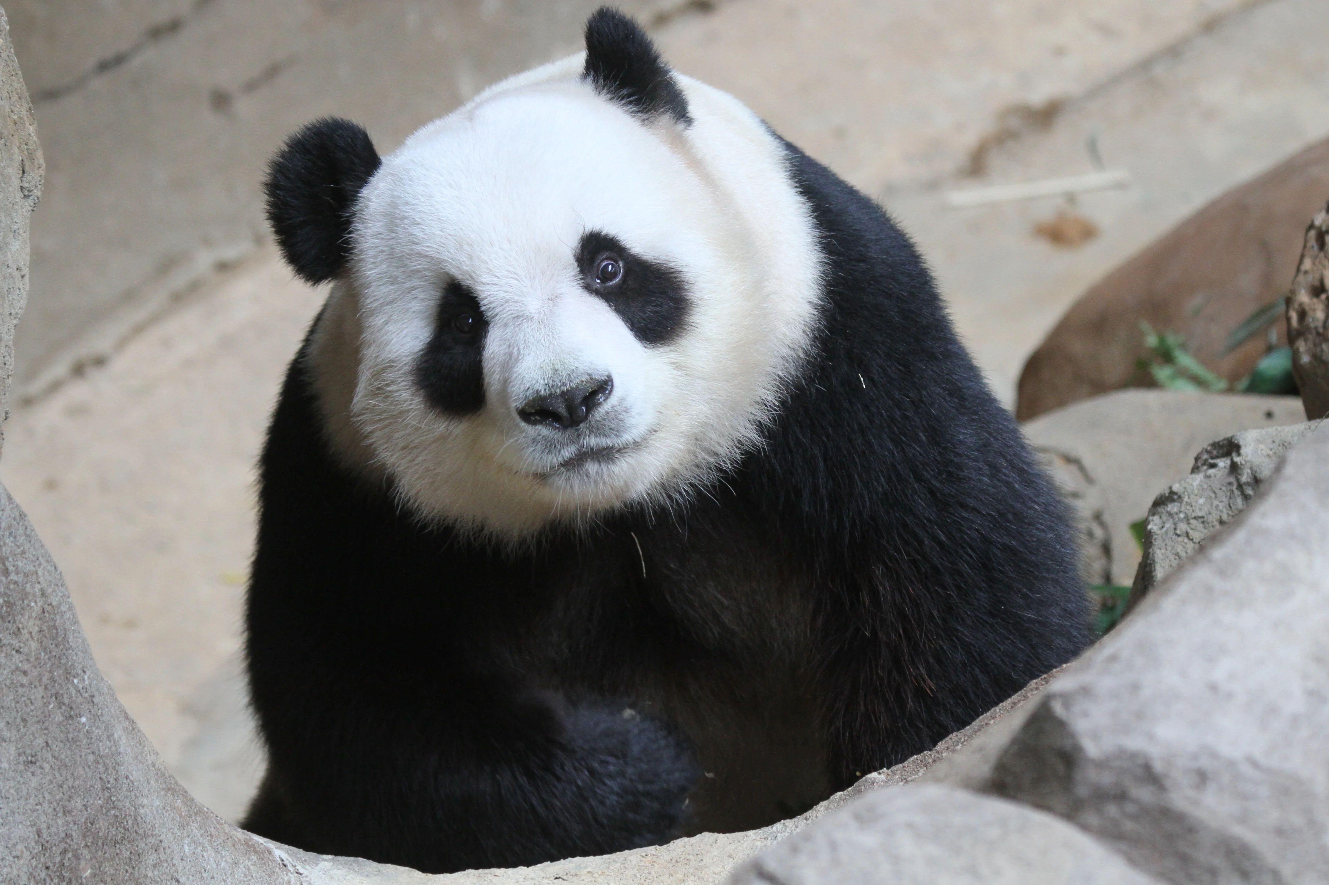 Zoo Negara Malaysia