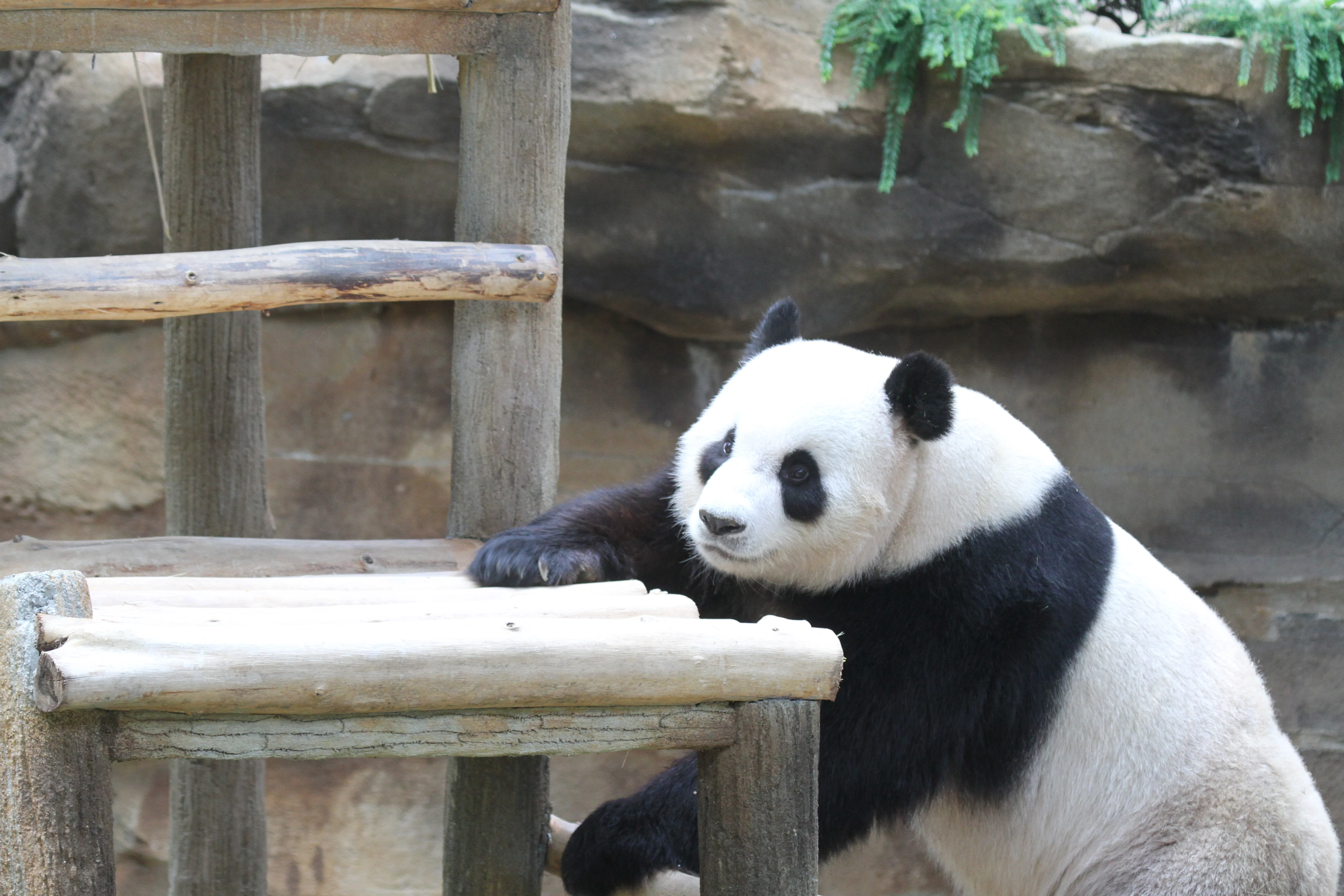 Zoo Negara Malaysia