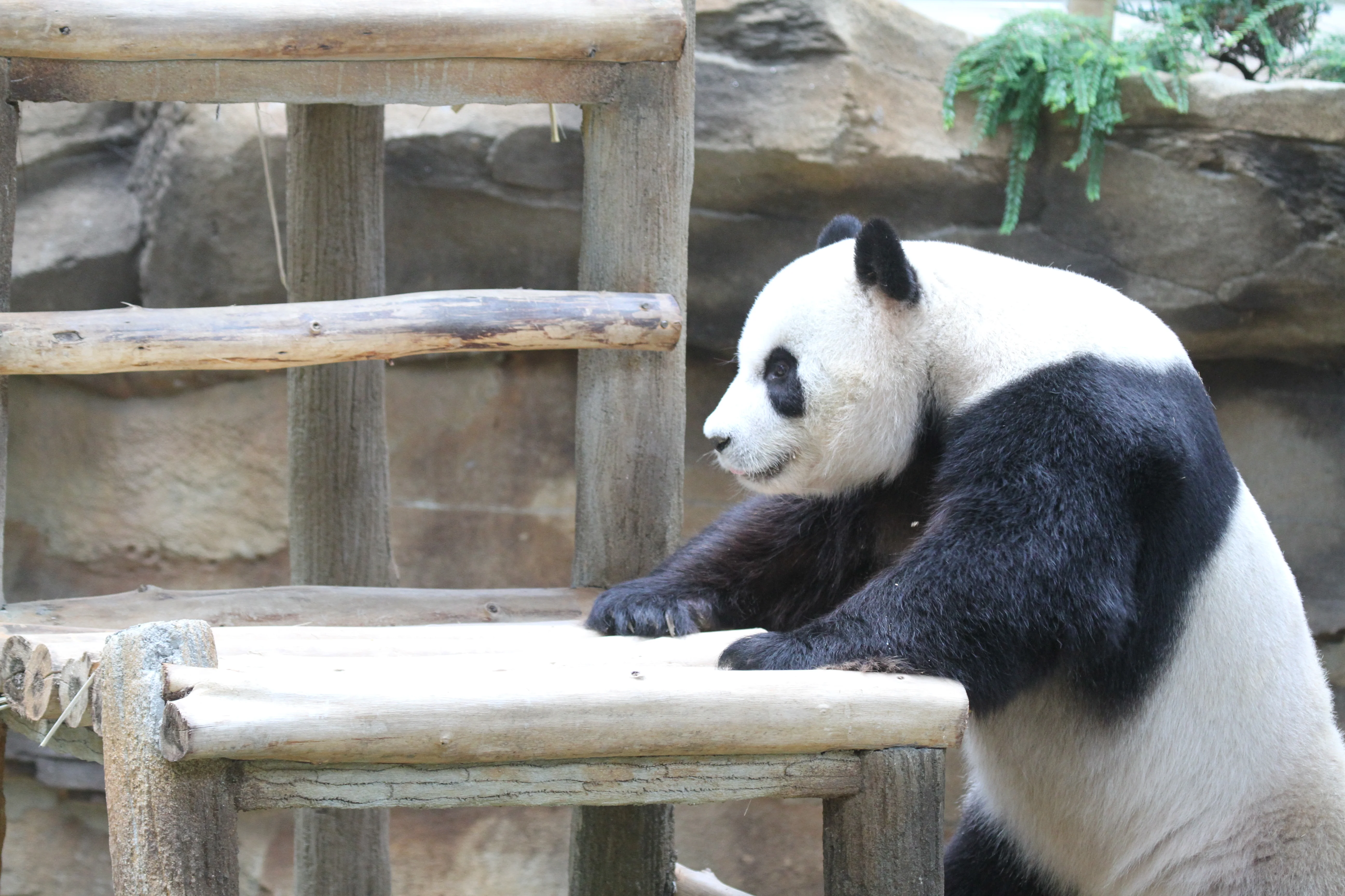 Zoo Negara Malaysia