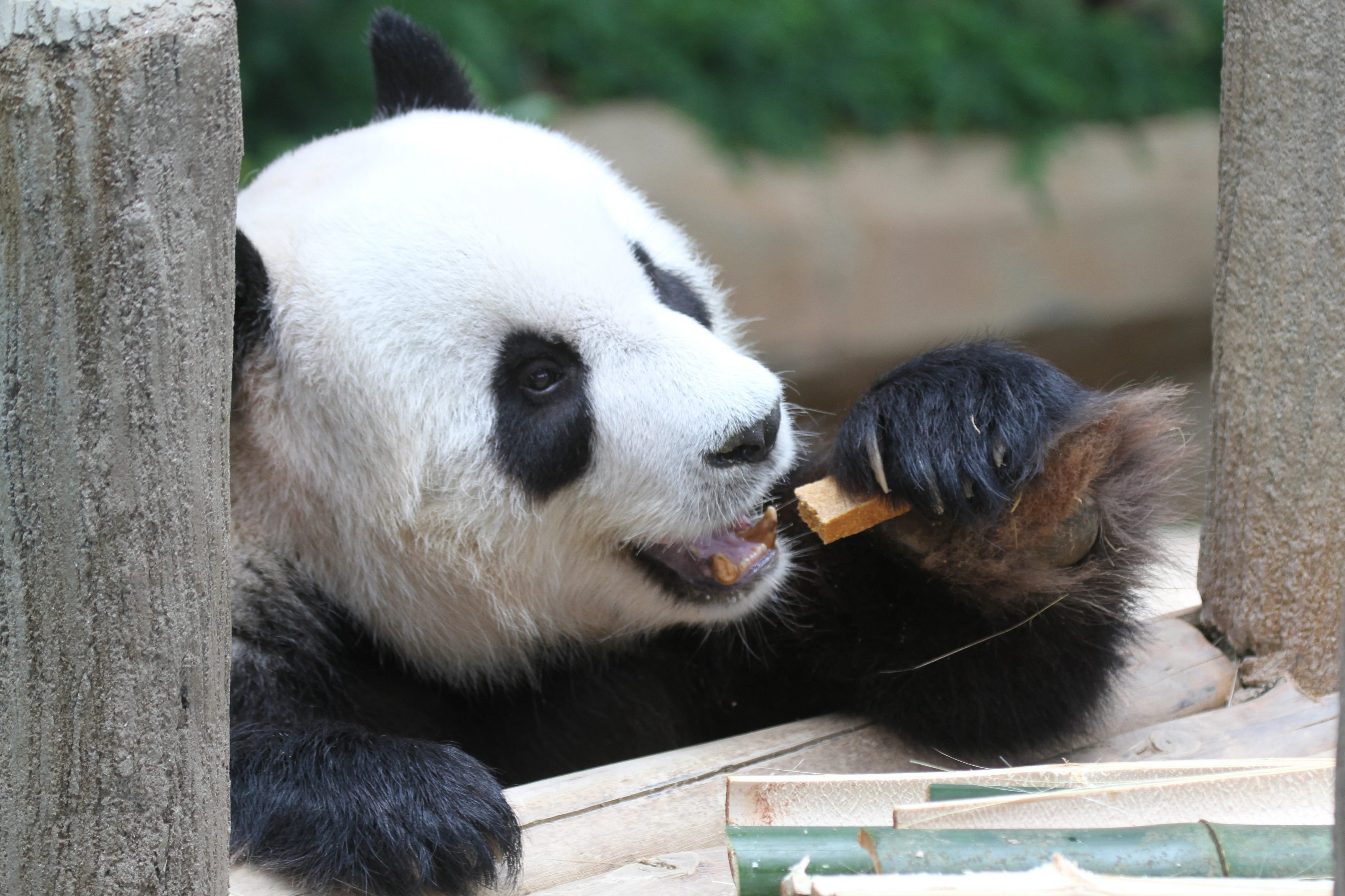 Zoo Negara Malaysia