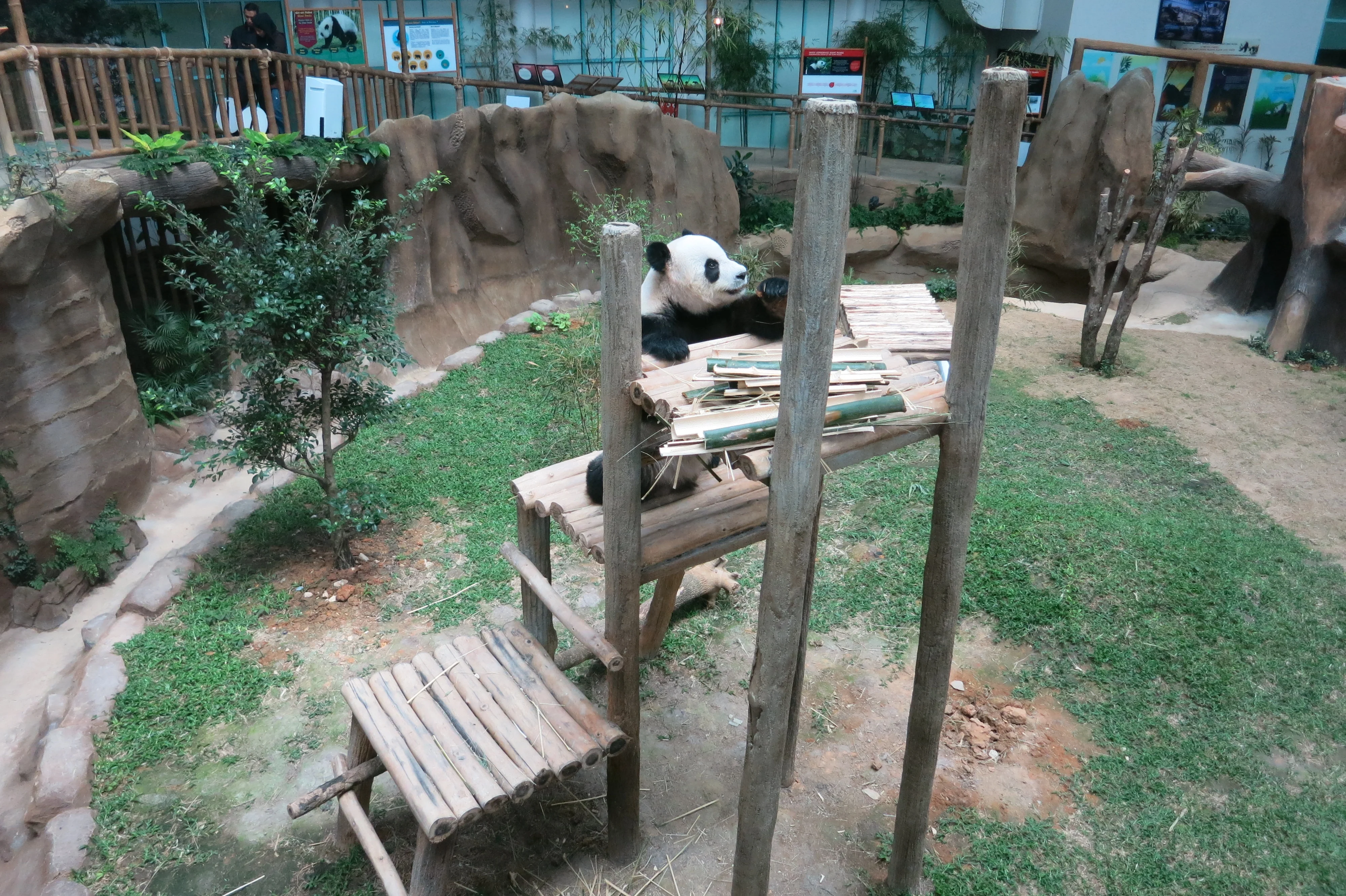 Zoo Negara Malaysia