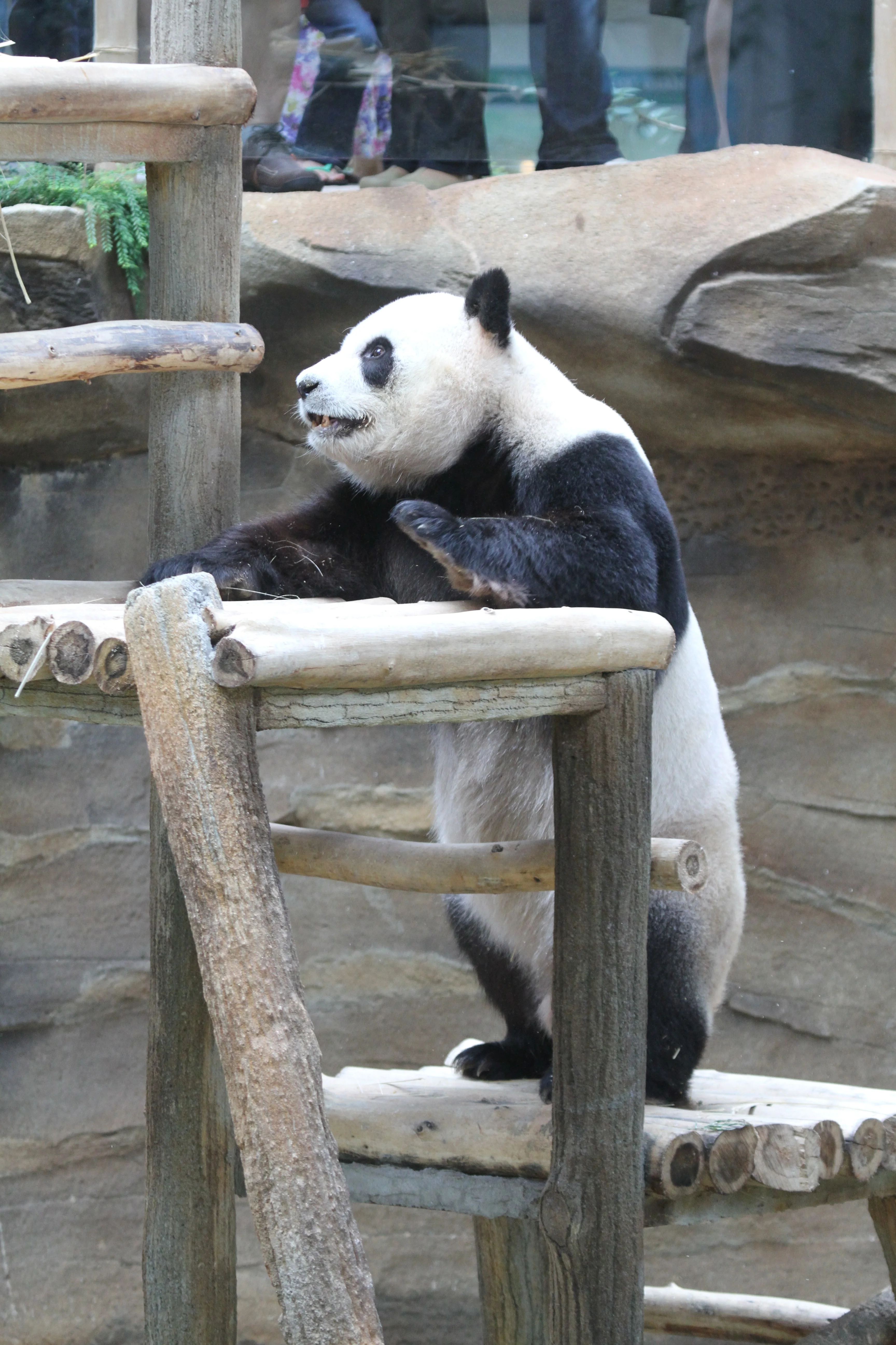 Zoo Negara Malaysia