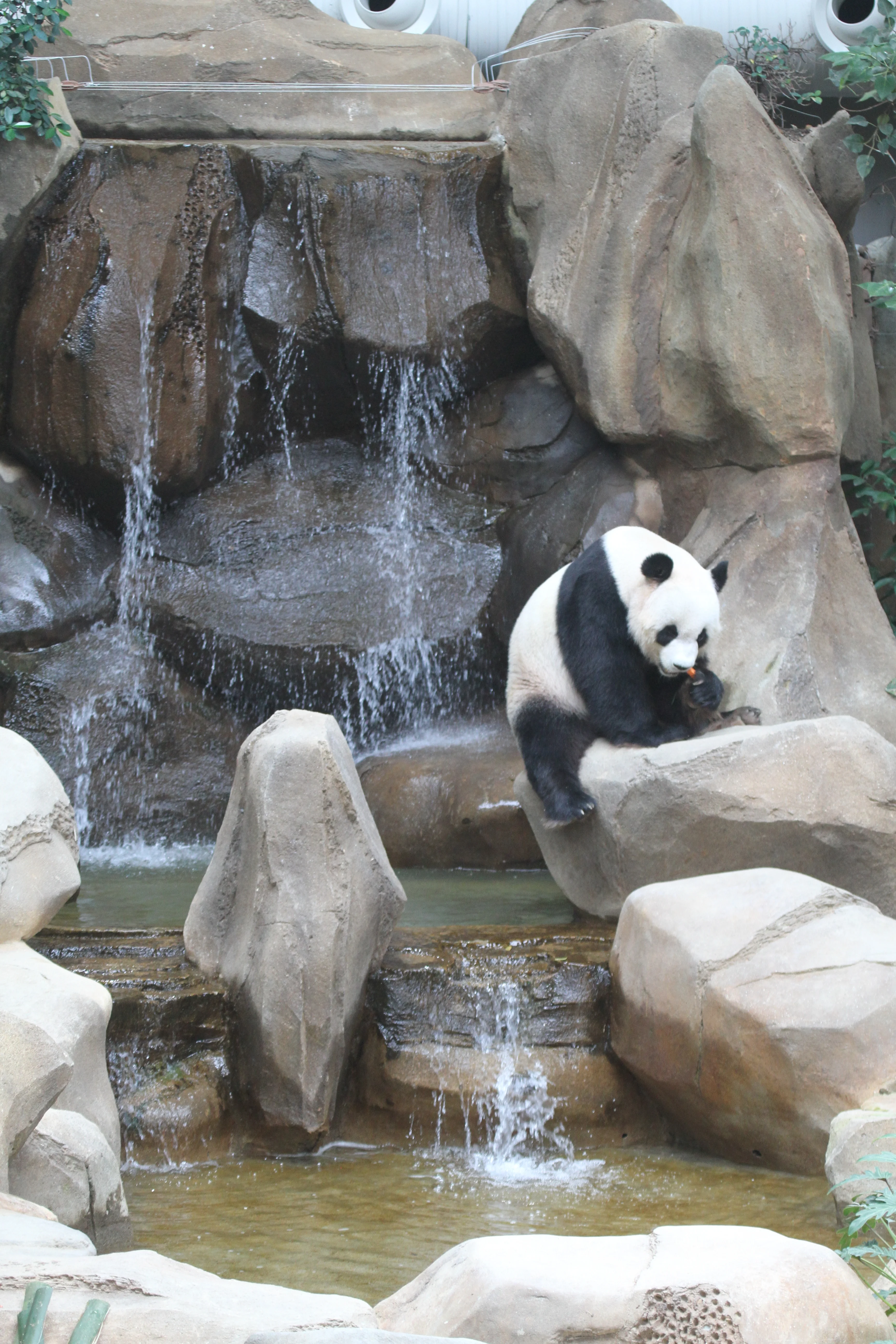 Zoo Negara Malaysia