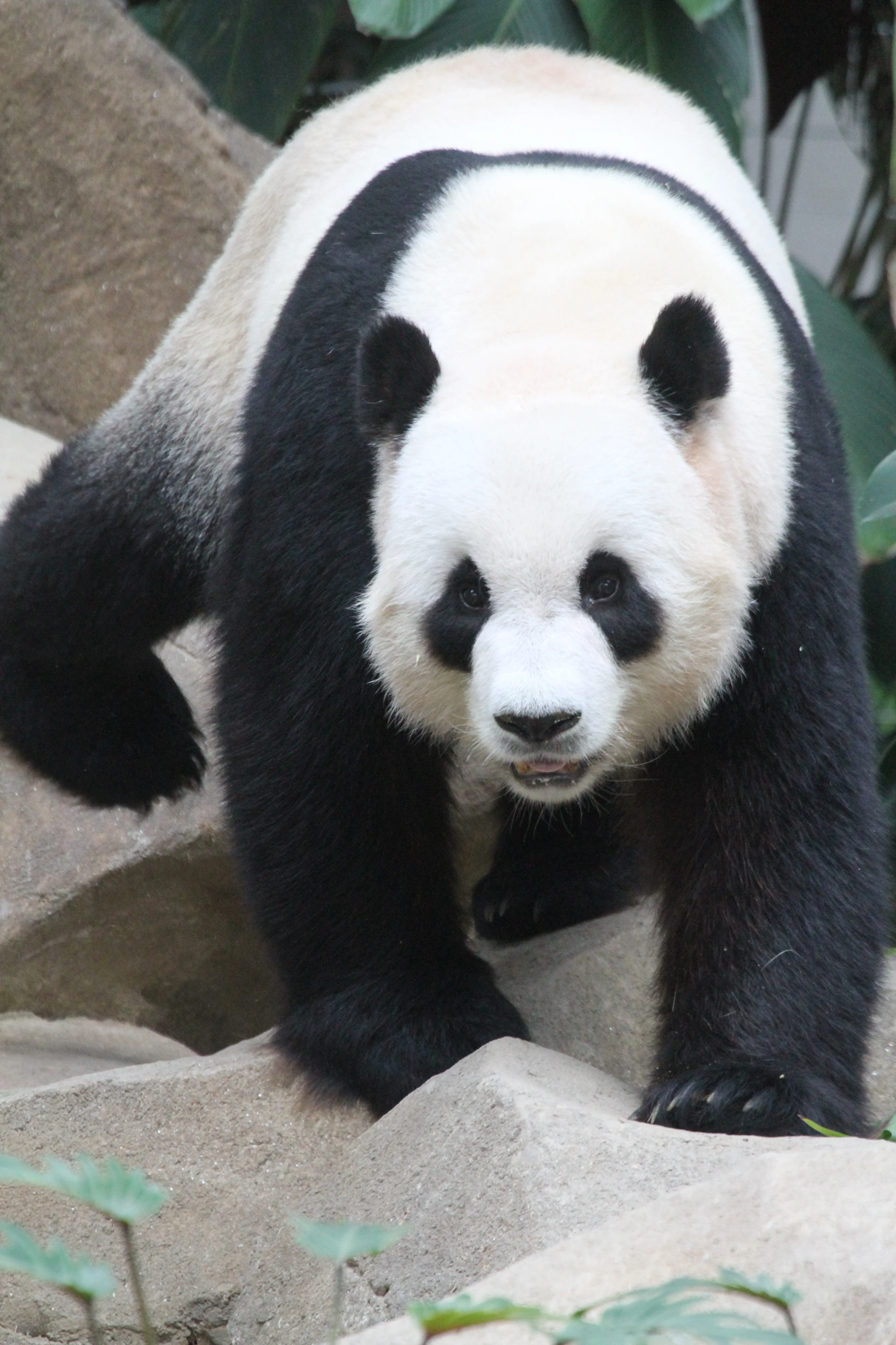 Zoo Negara Malaysia