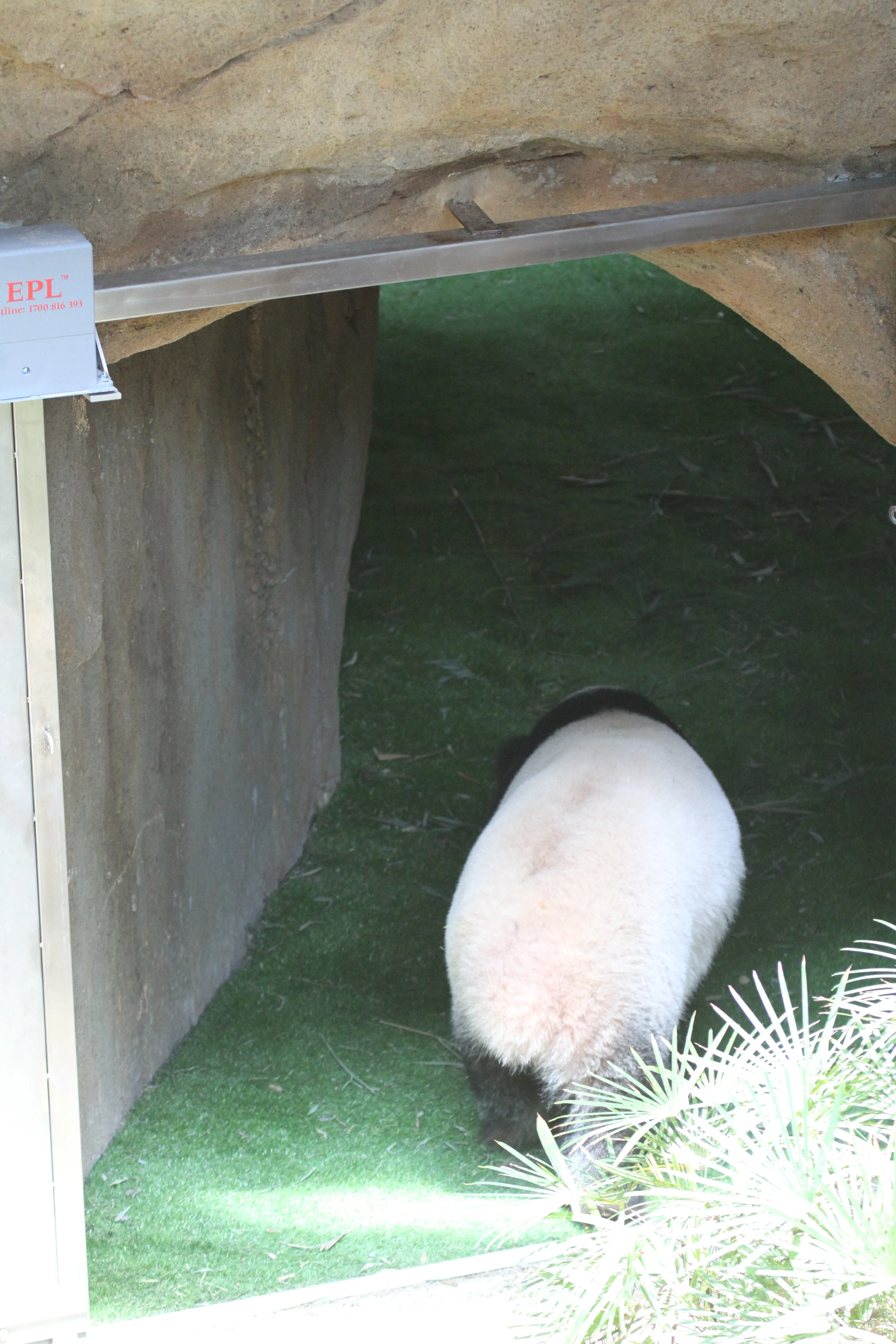 Zoo Negara Malaysia