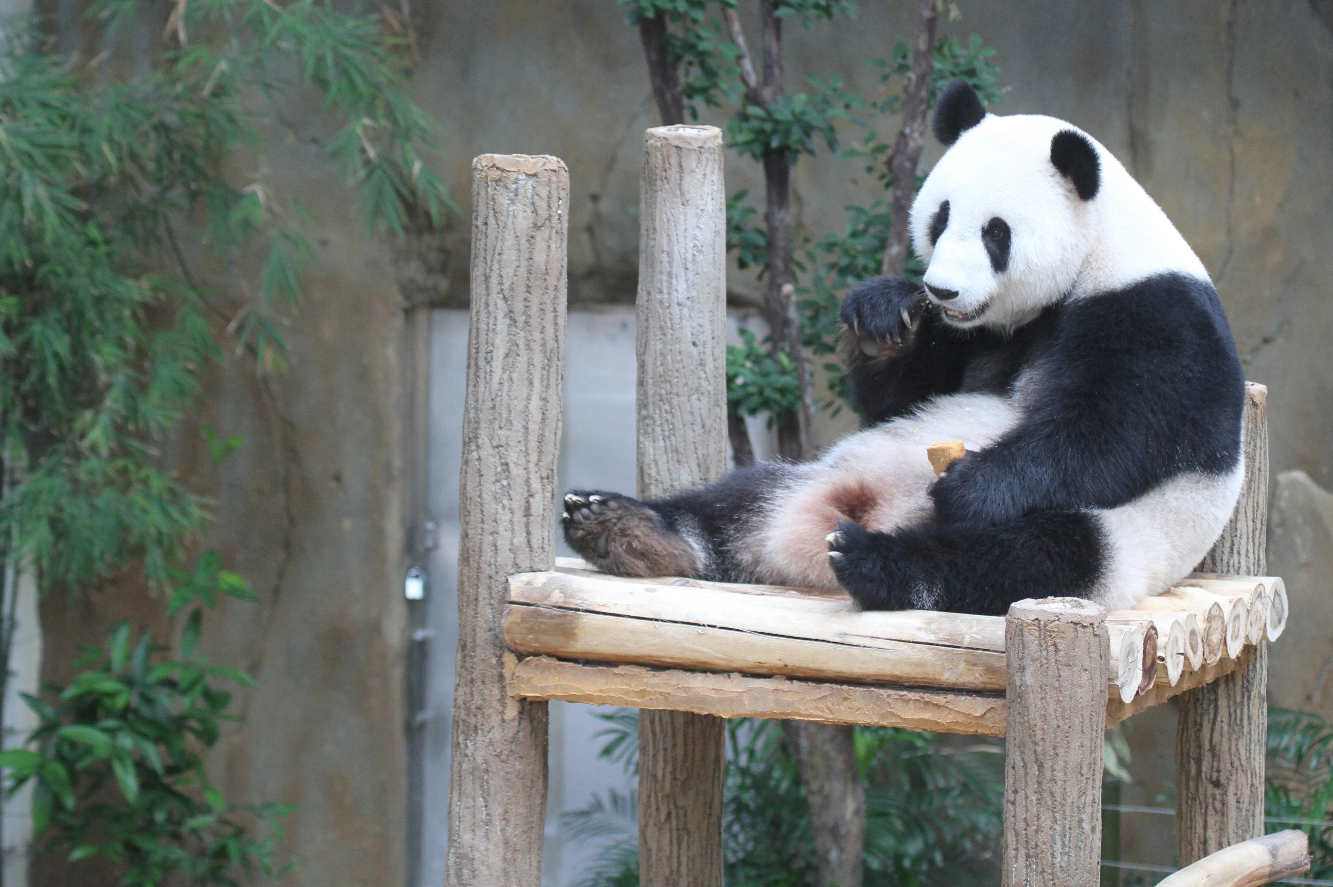 Zoo Negara Malaysia