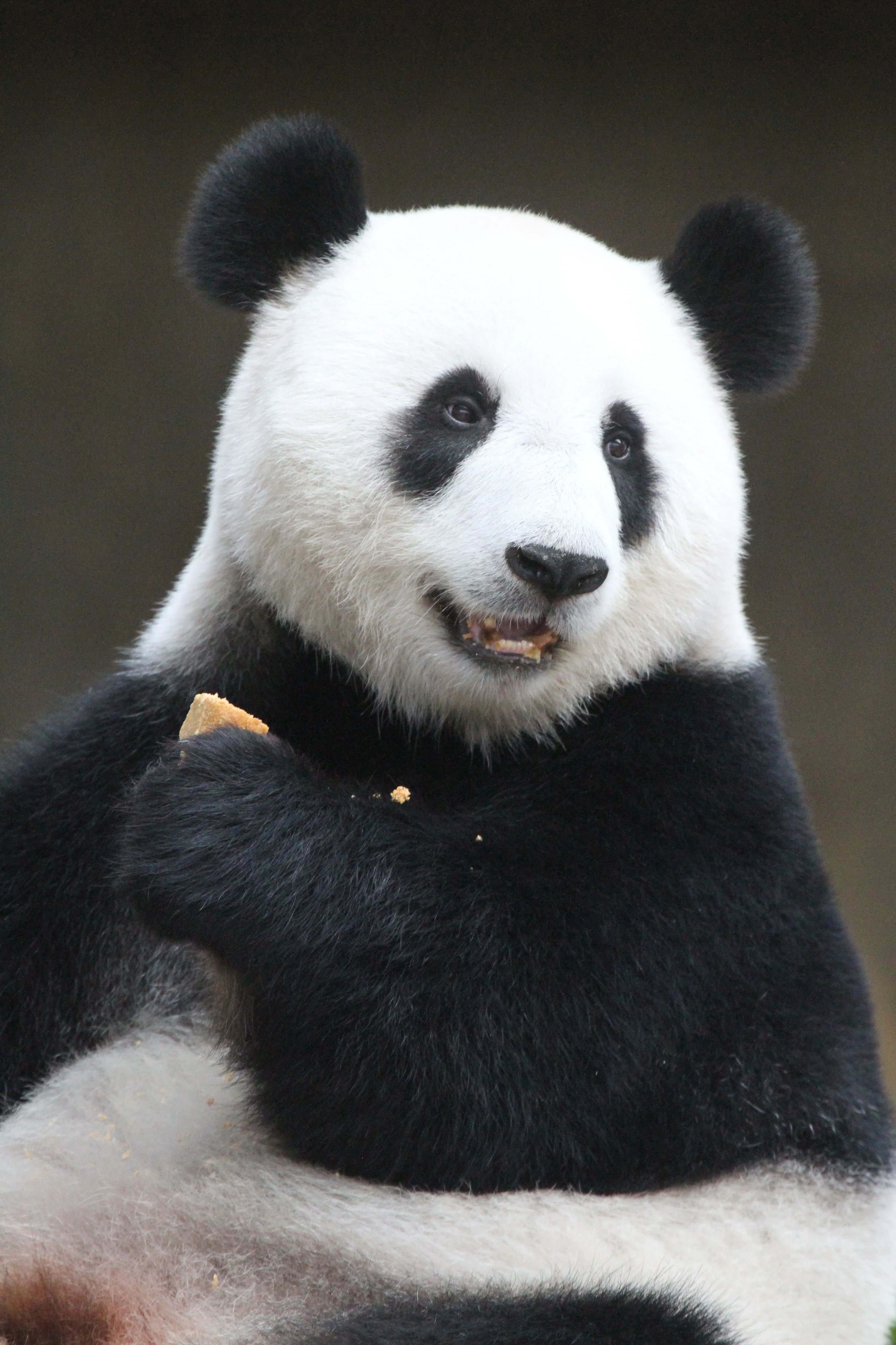 Zoo Negara Malaysia
