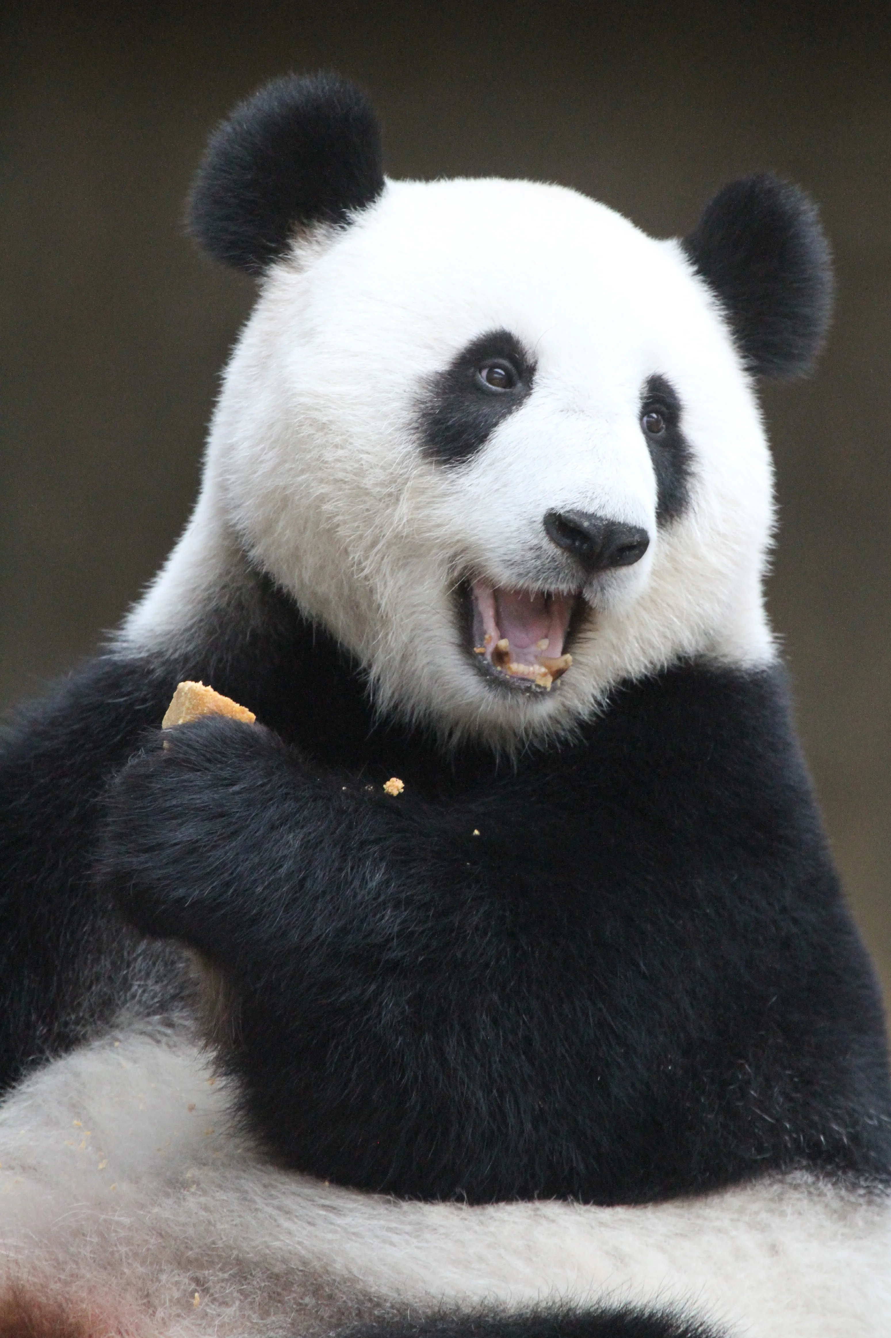 Zoo Negara Malaysia