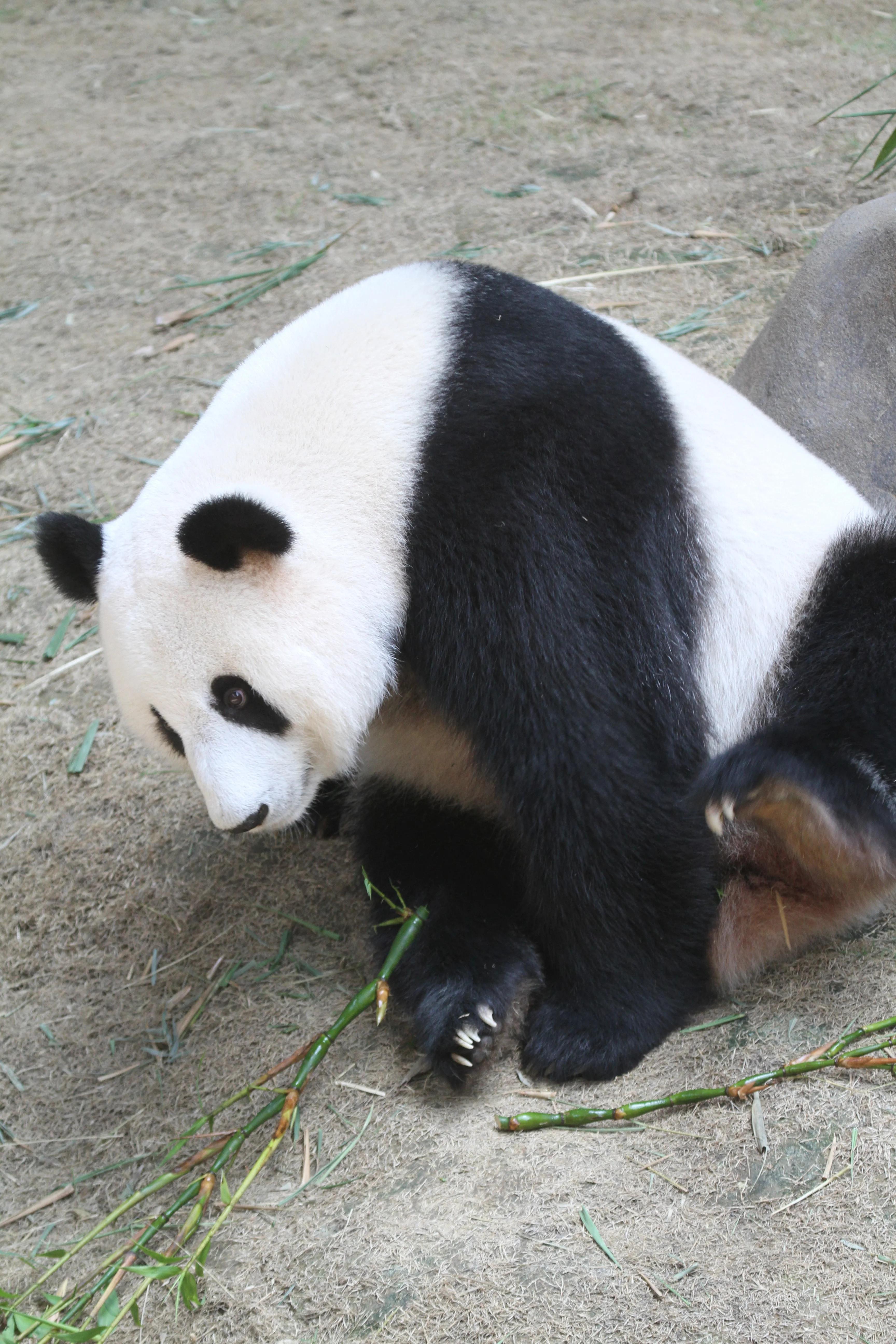 Zoo Negara Malaysia