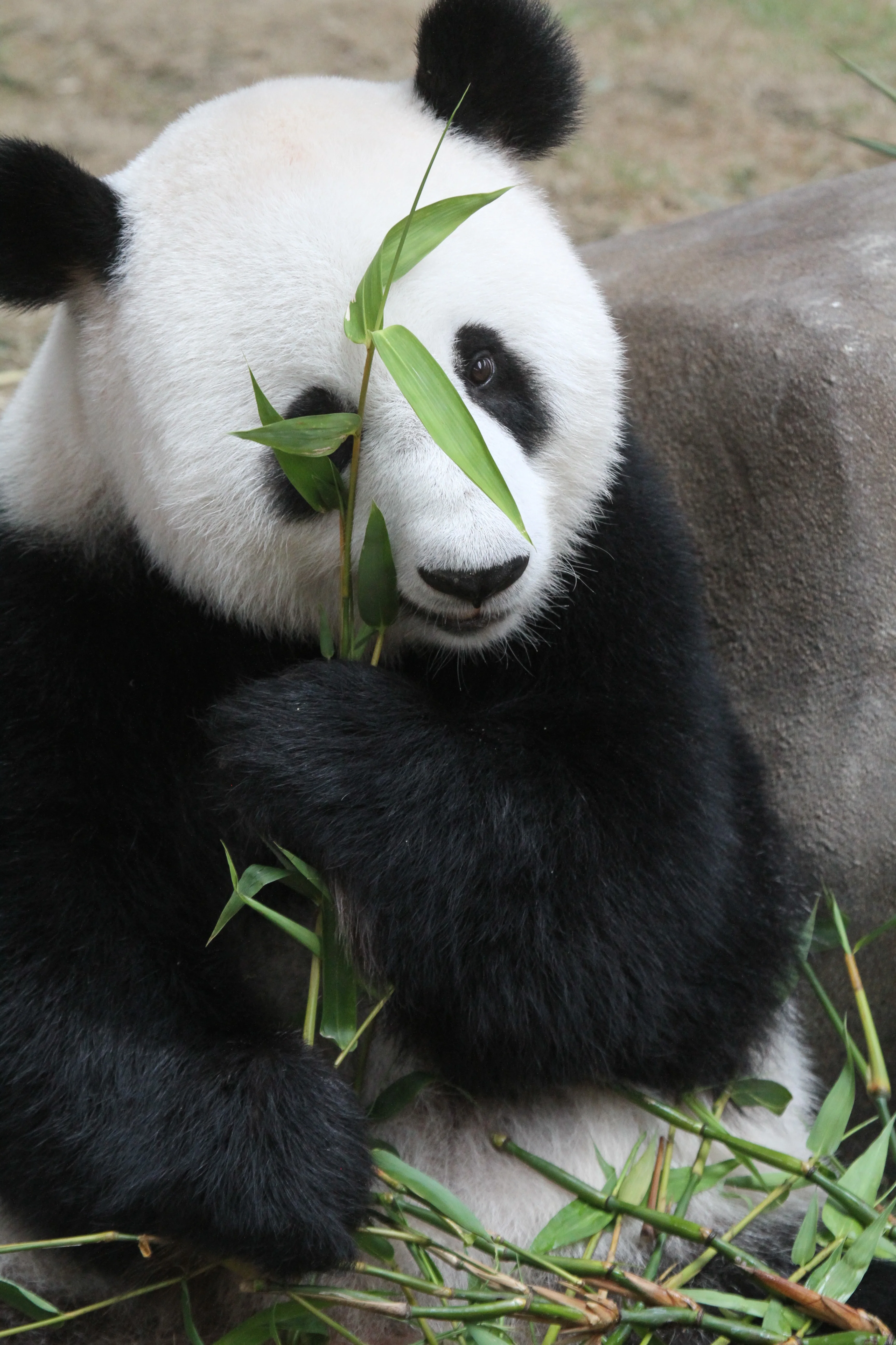 Zoo Negara Malaysia