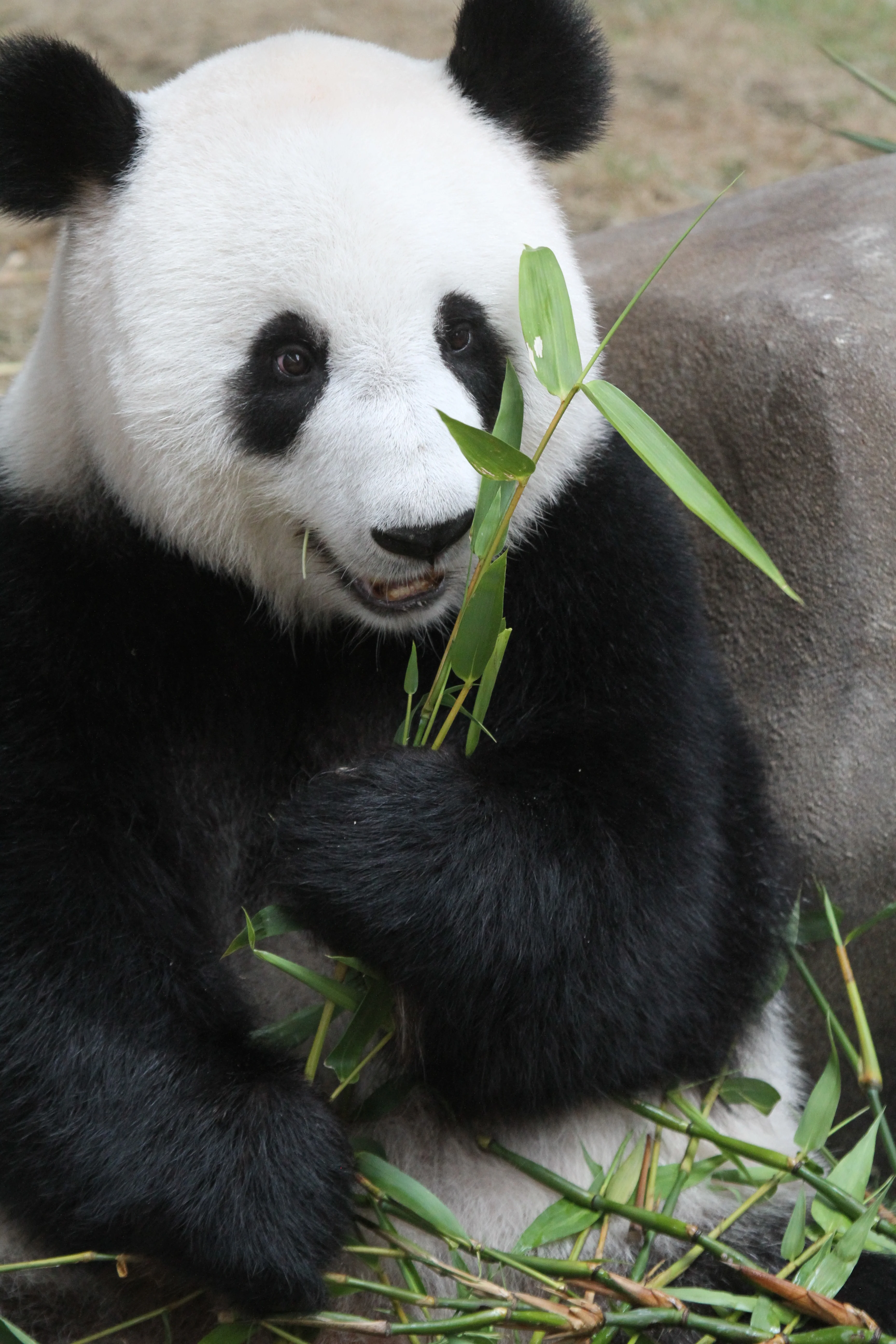 Zoo Negara Malaysia