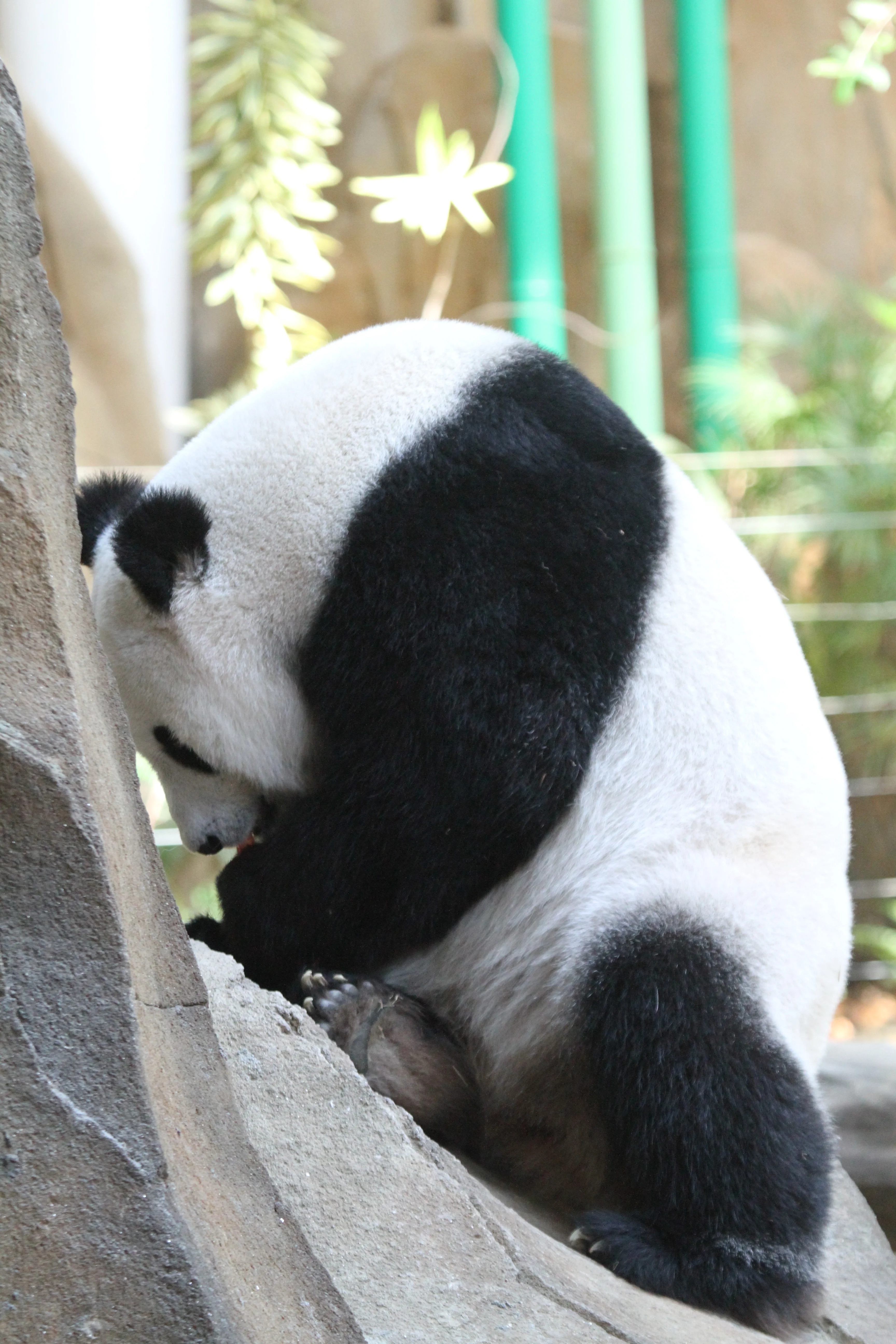 Zoo Negara Malaysia