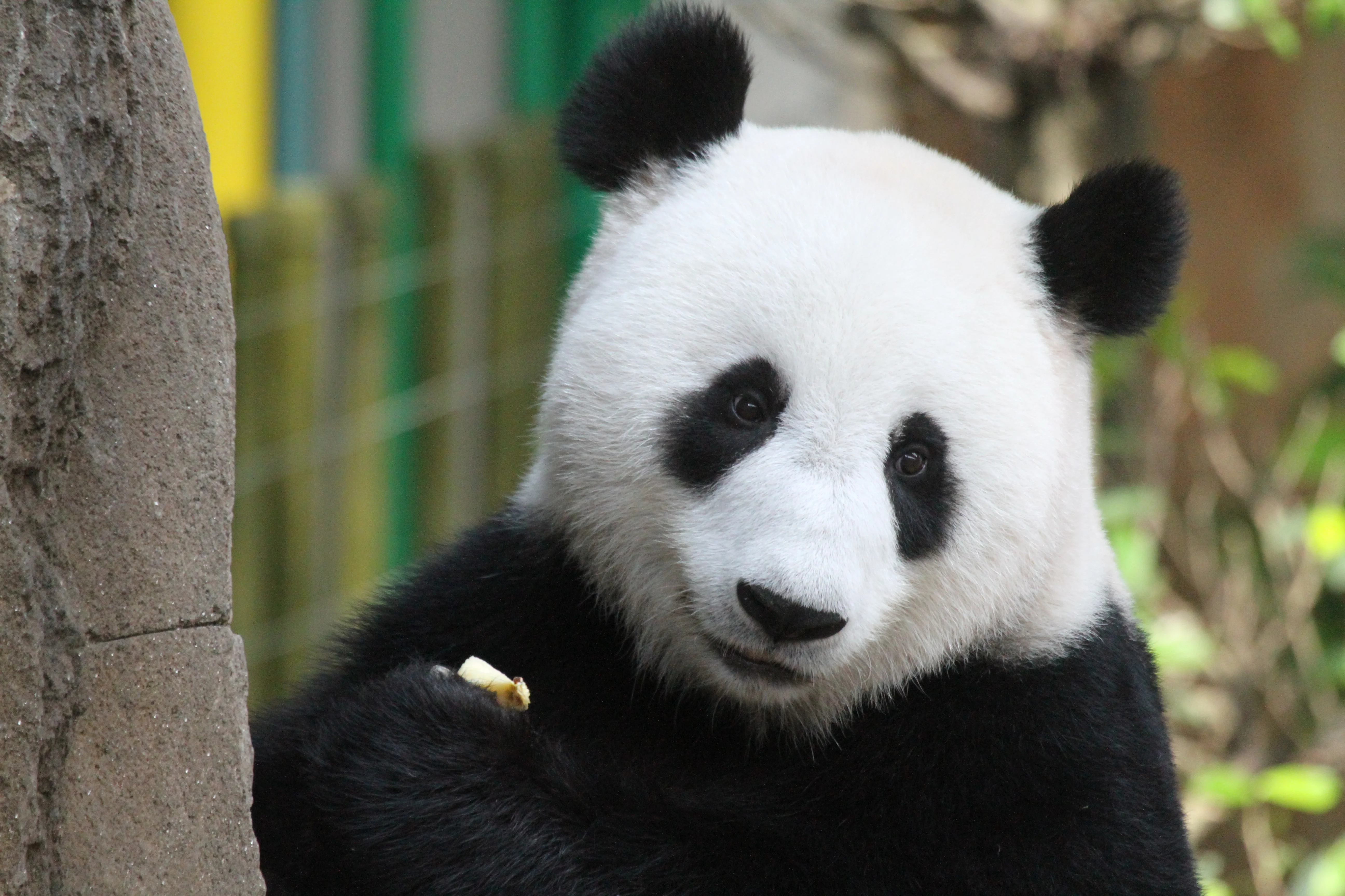 Zoo Negara Malaysia