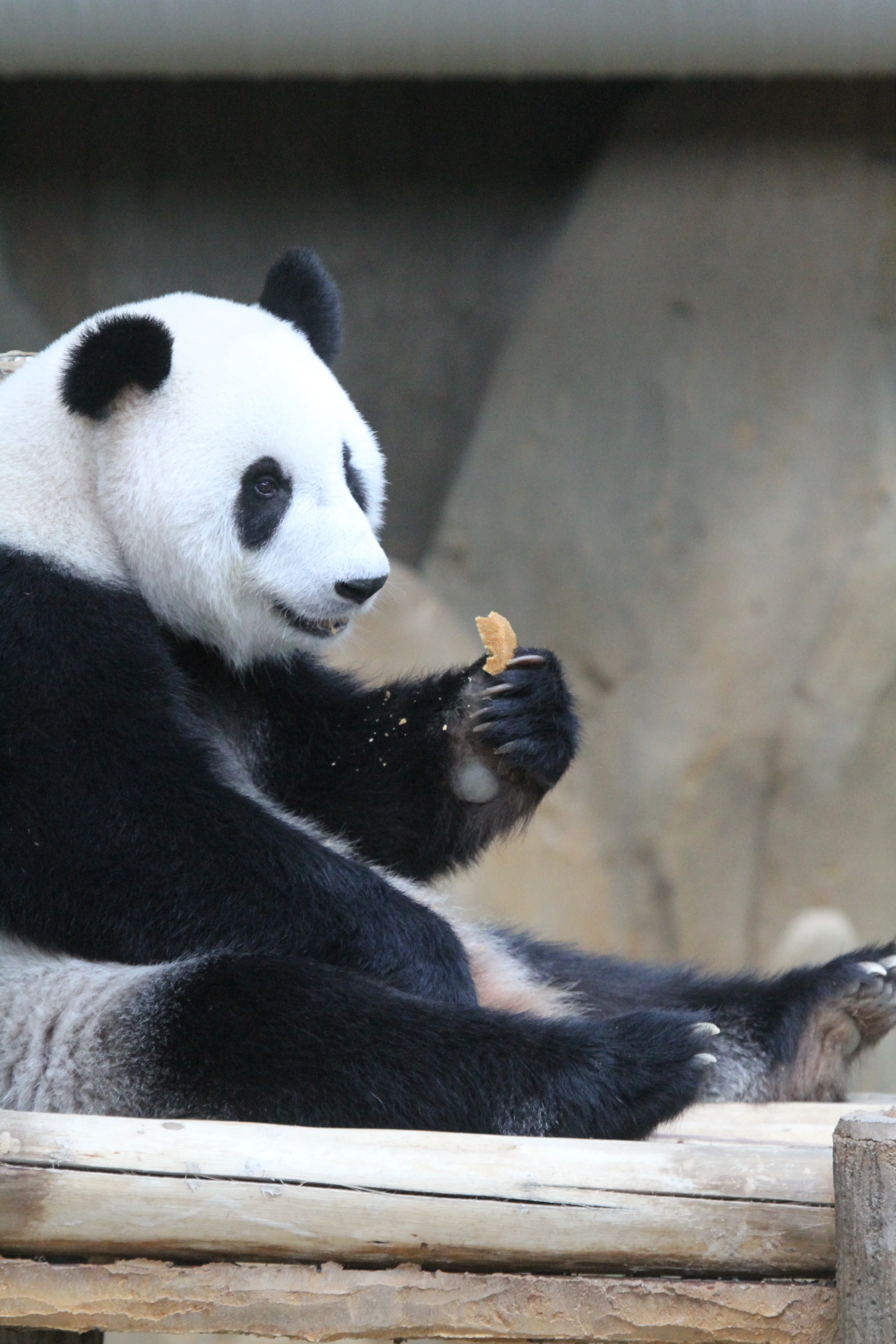 Zoo Negara Malaysia