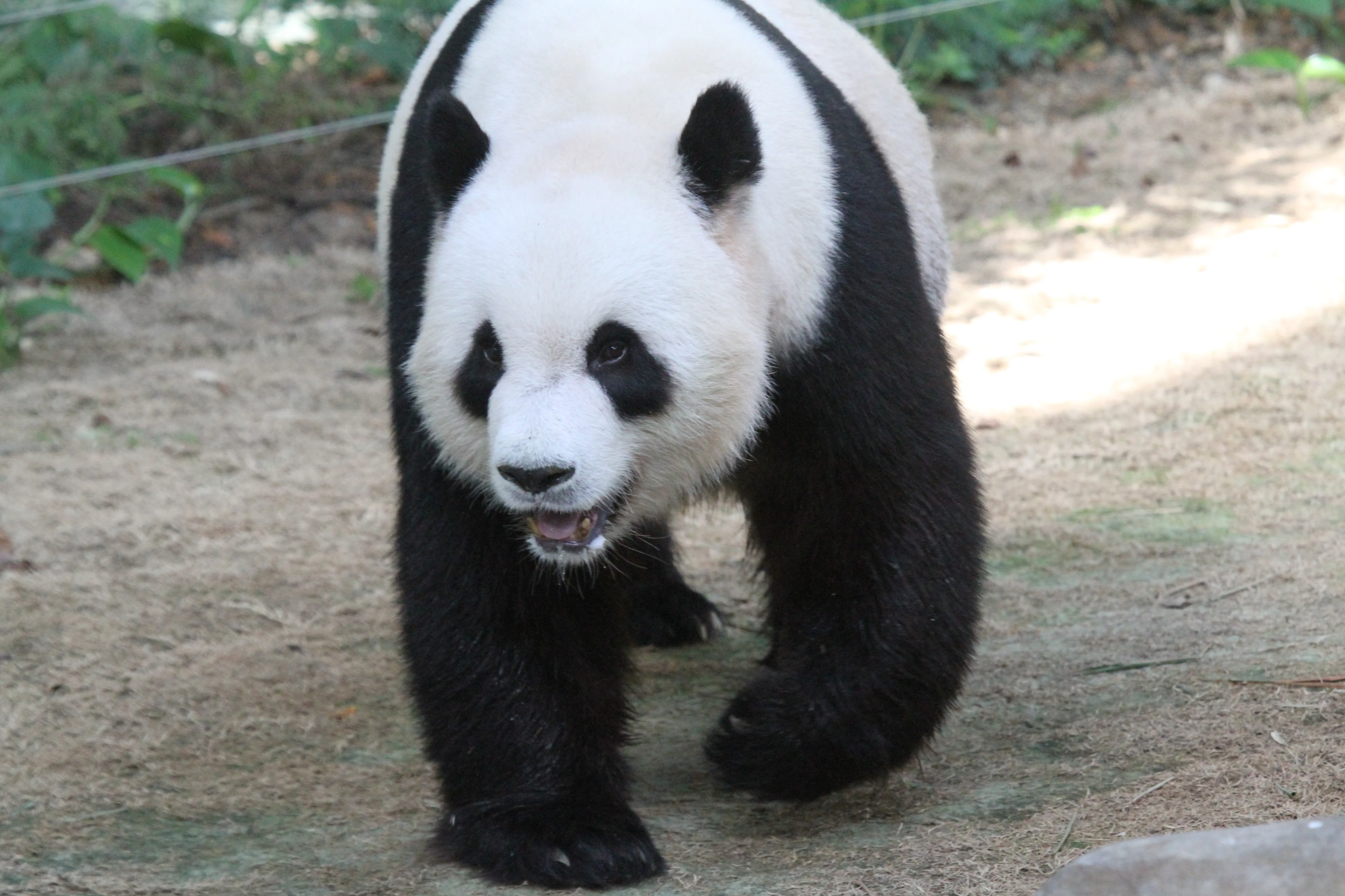 Zoo Negara Malaysia
