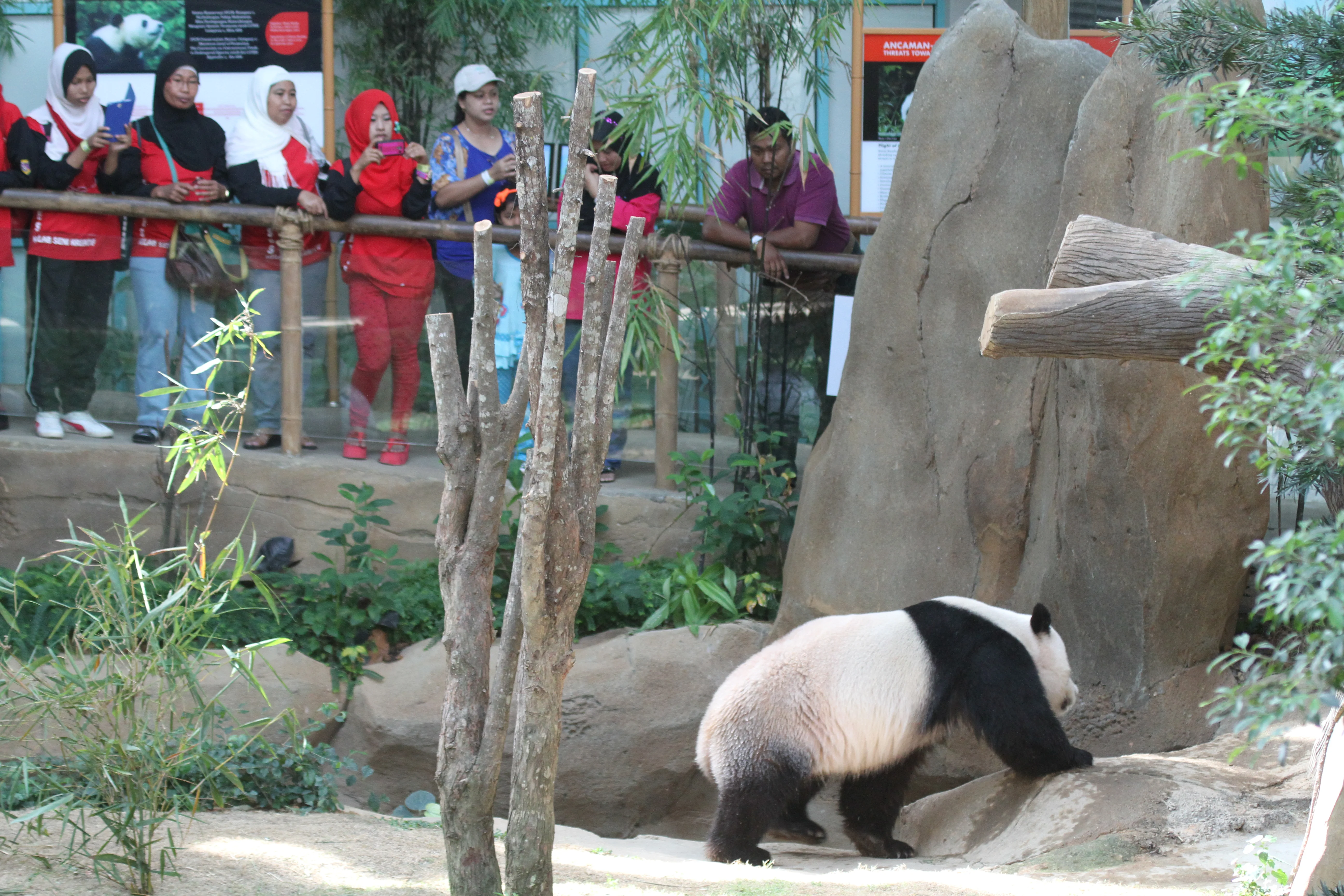 Zoo Negara Malaysia