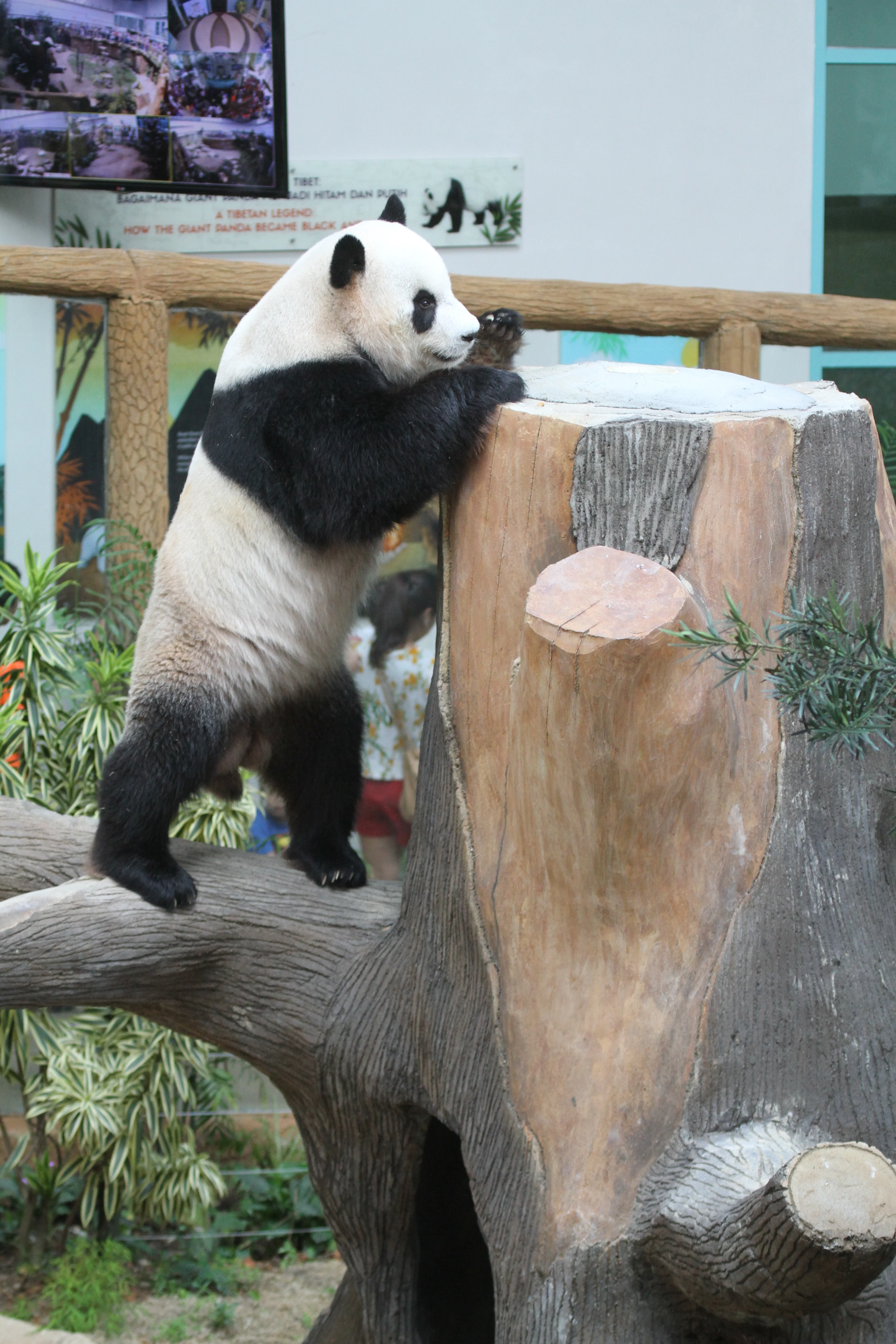 Zoo Negara Malaysia