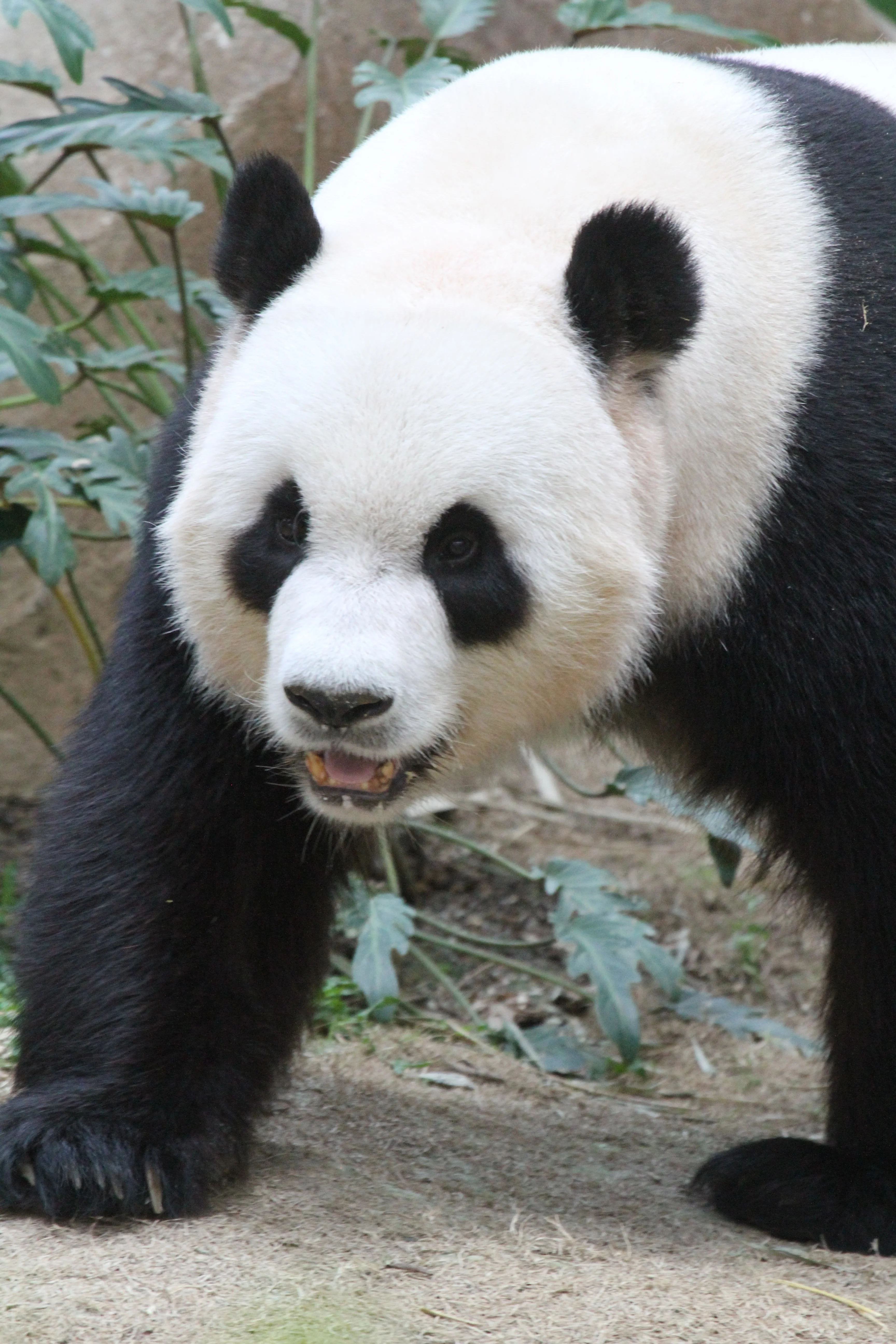 Zoo Negara Malaysia