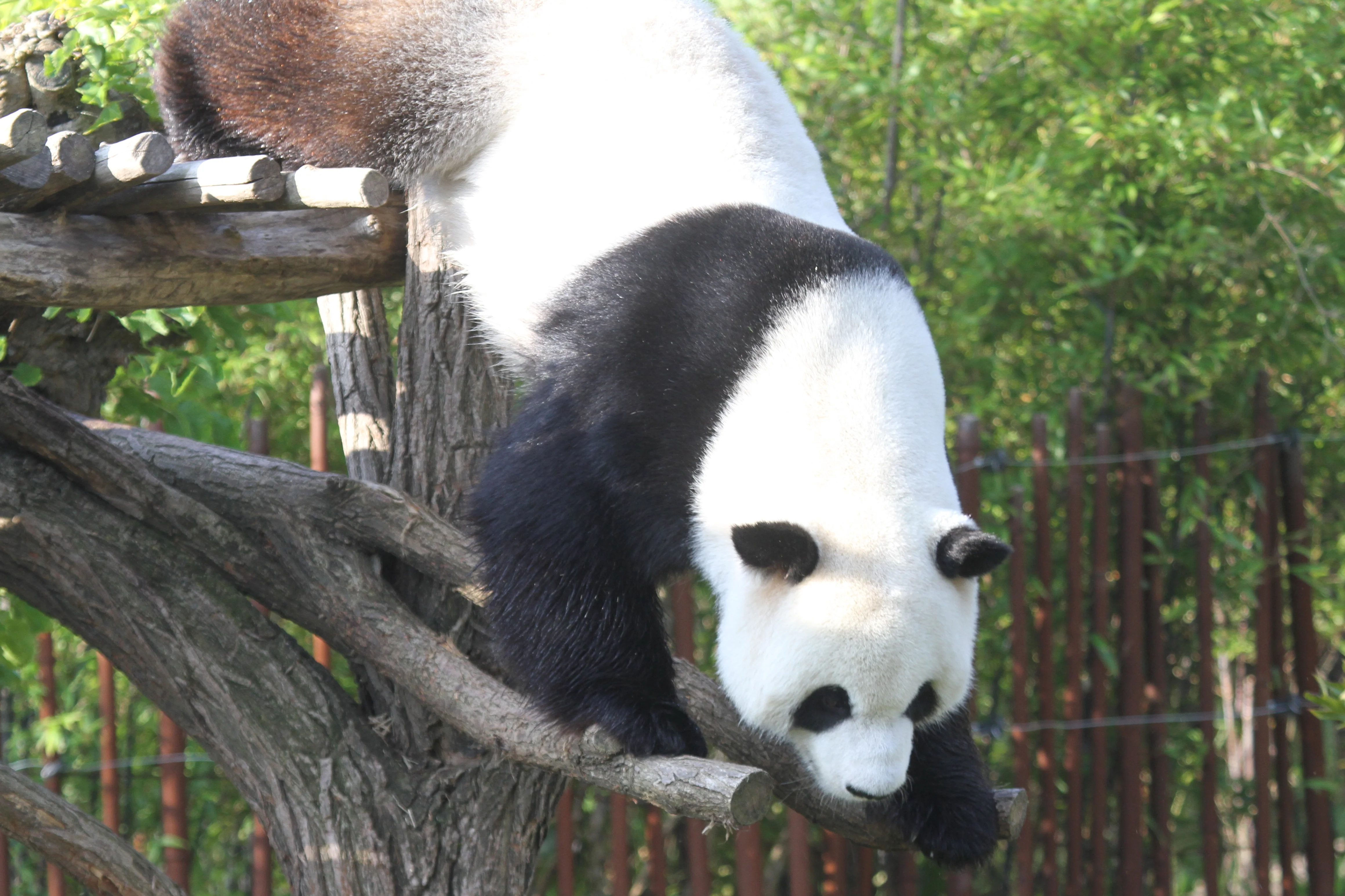Pairi Daiza