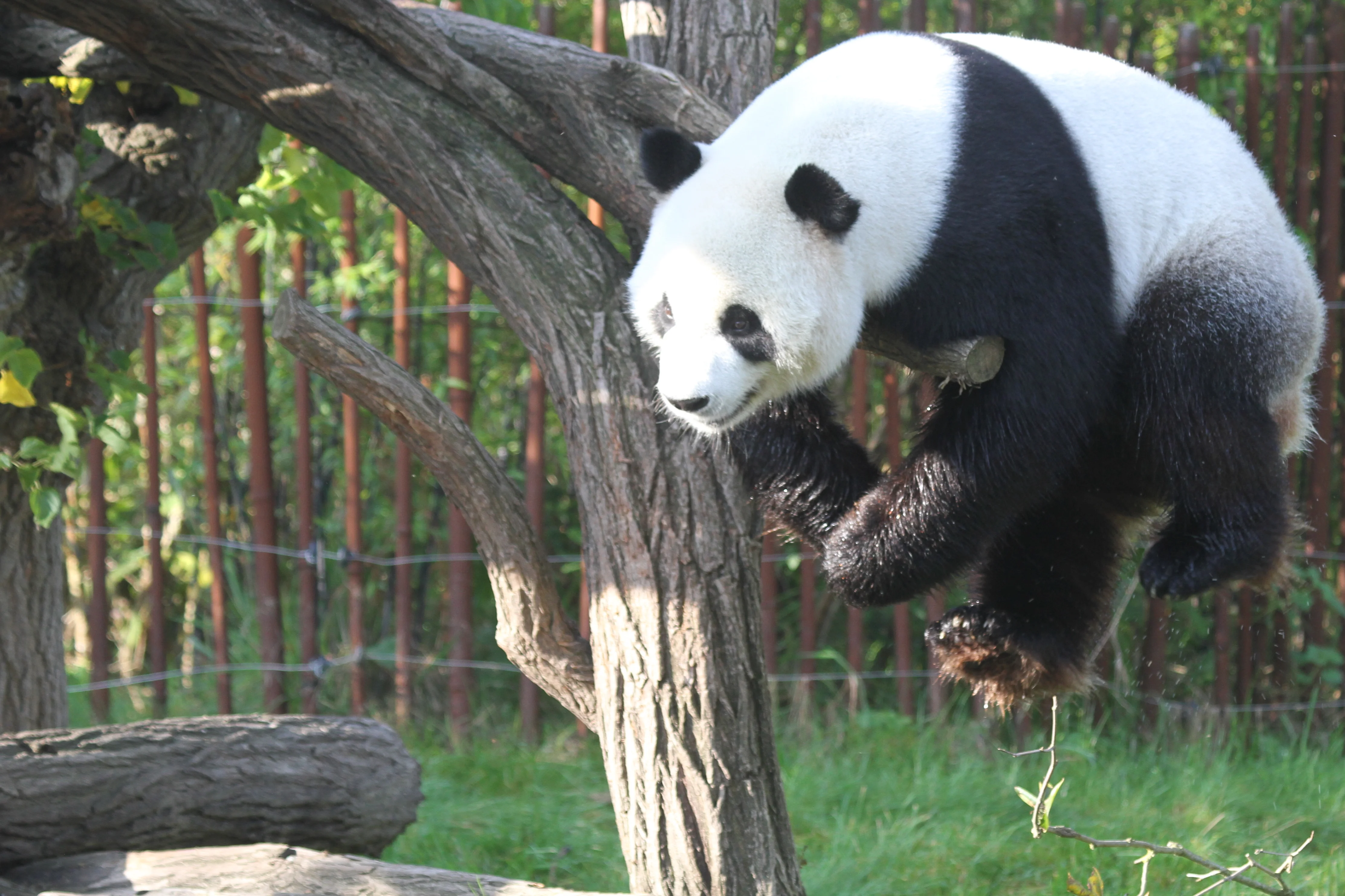 Pairi Daiza