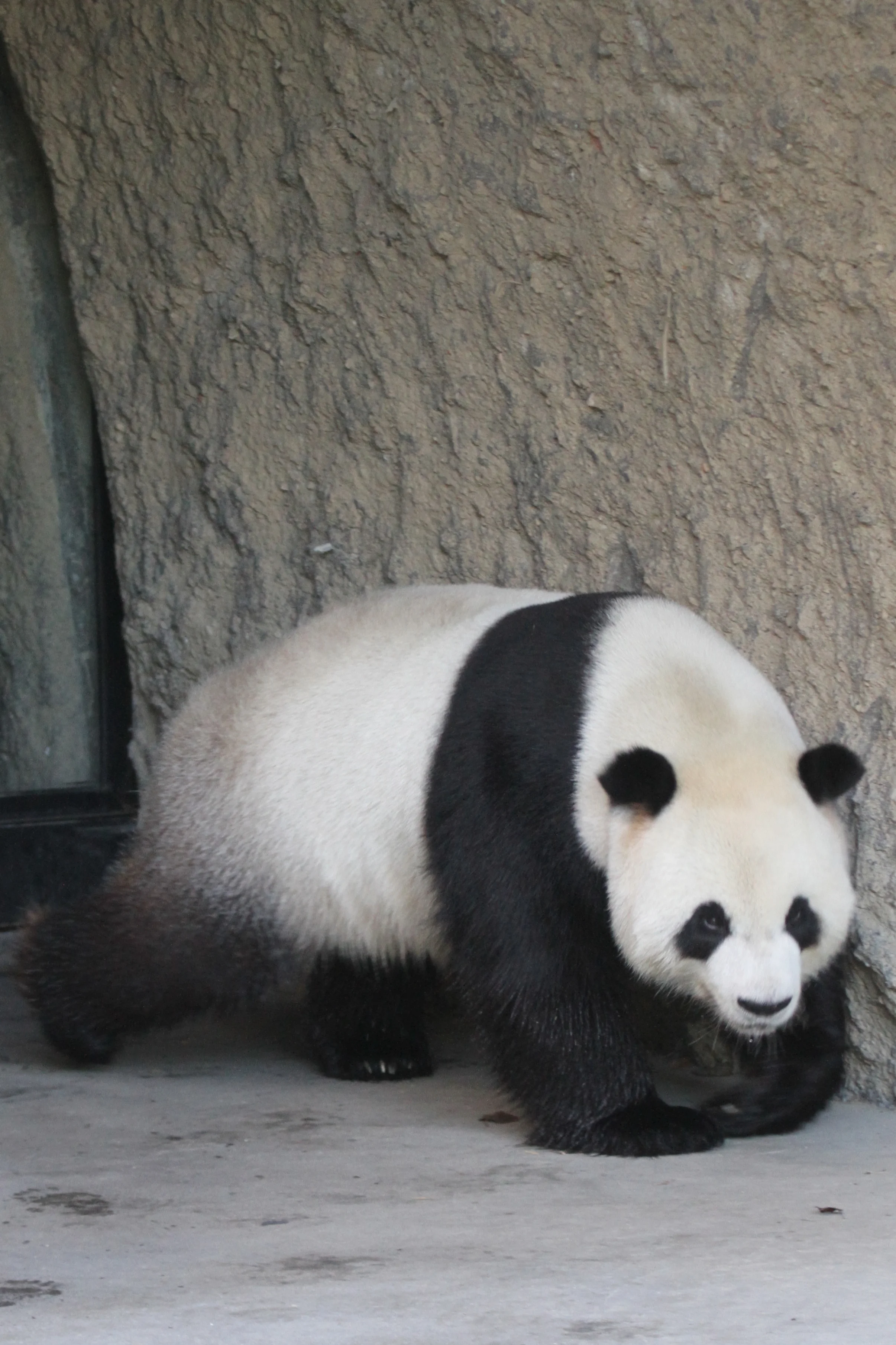 Pairi Daiza